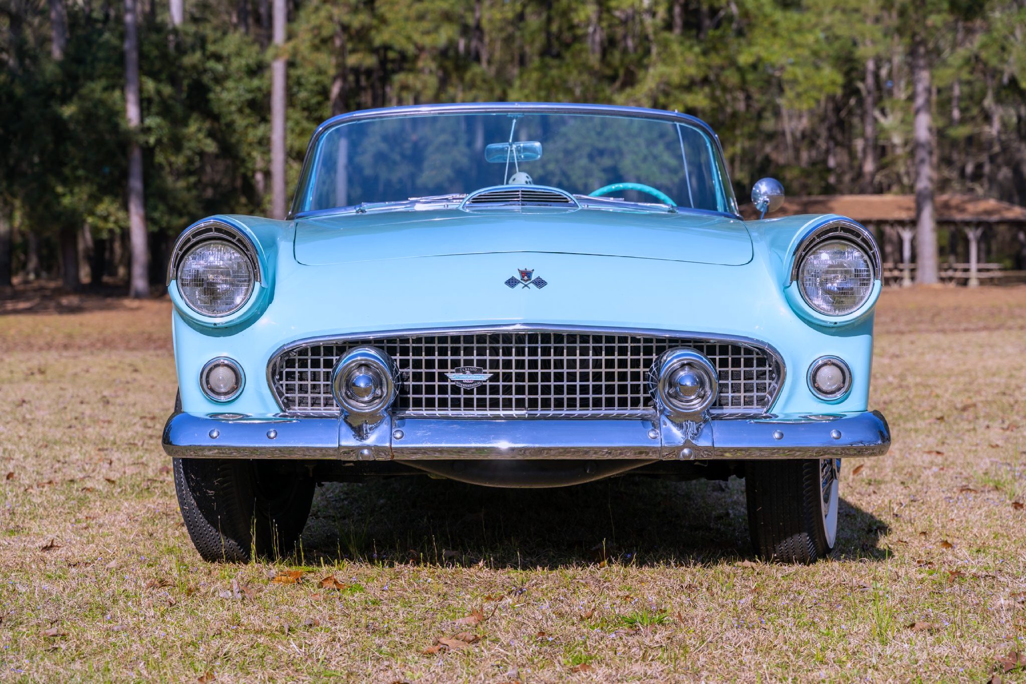 1955 Ford Thunderbird Front Grill