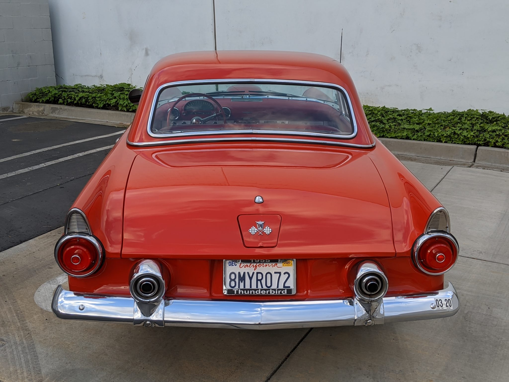 1955 Ford Thunderbird Rear End | Ford Thunderbird forum club group 1955