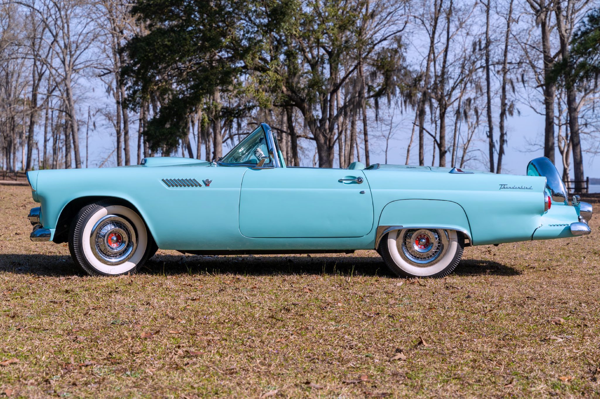 1955 Ford Thunderbird Side View Top Down