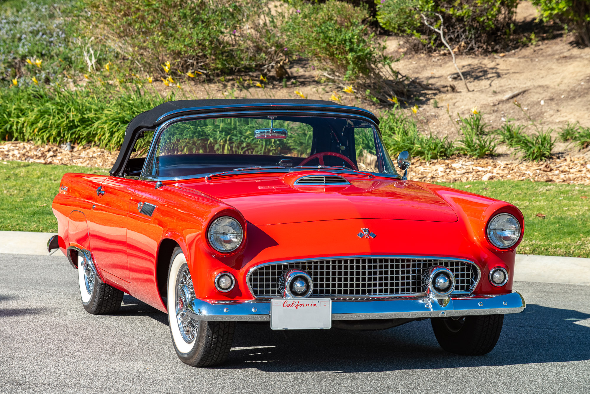 1955 Ford Thunderbird