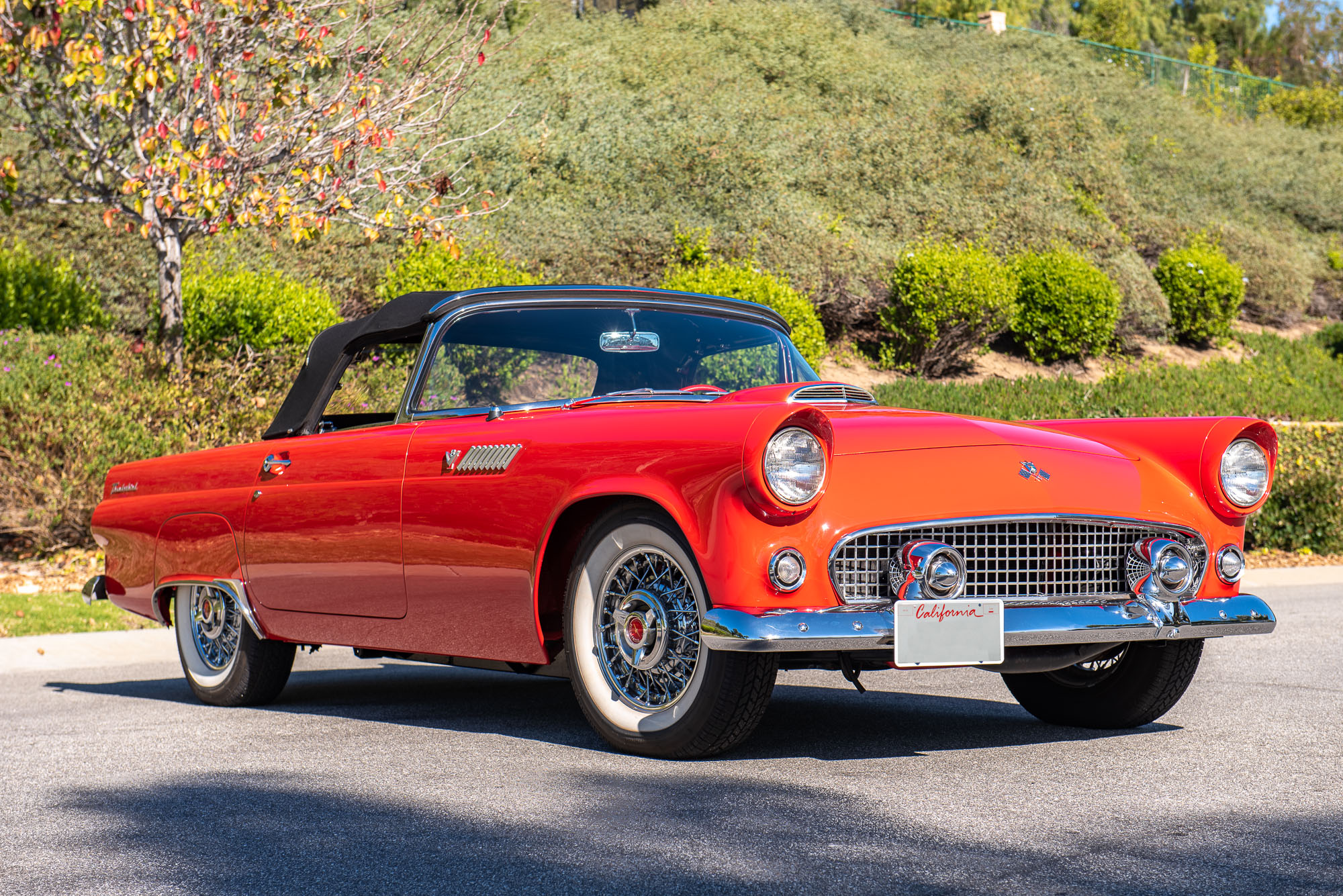 1955 Ford Thunderbird