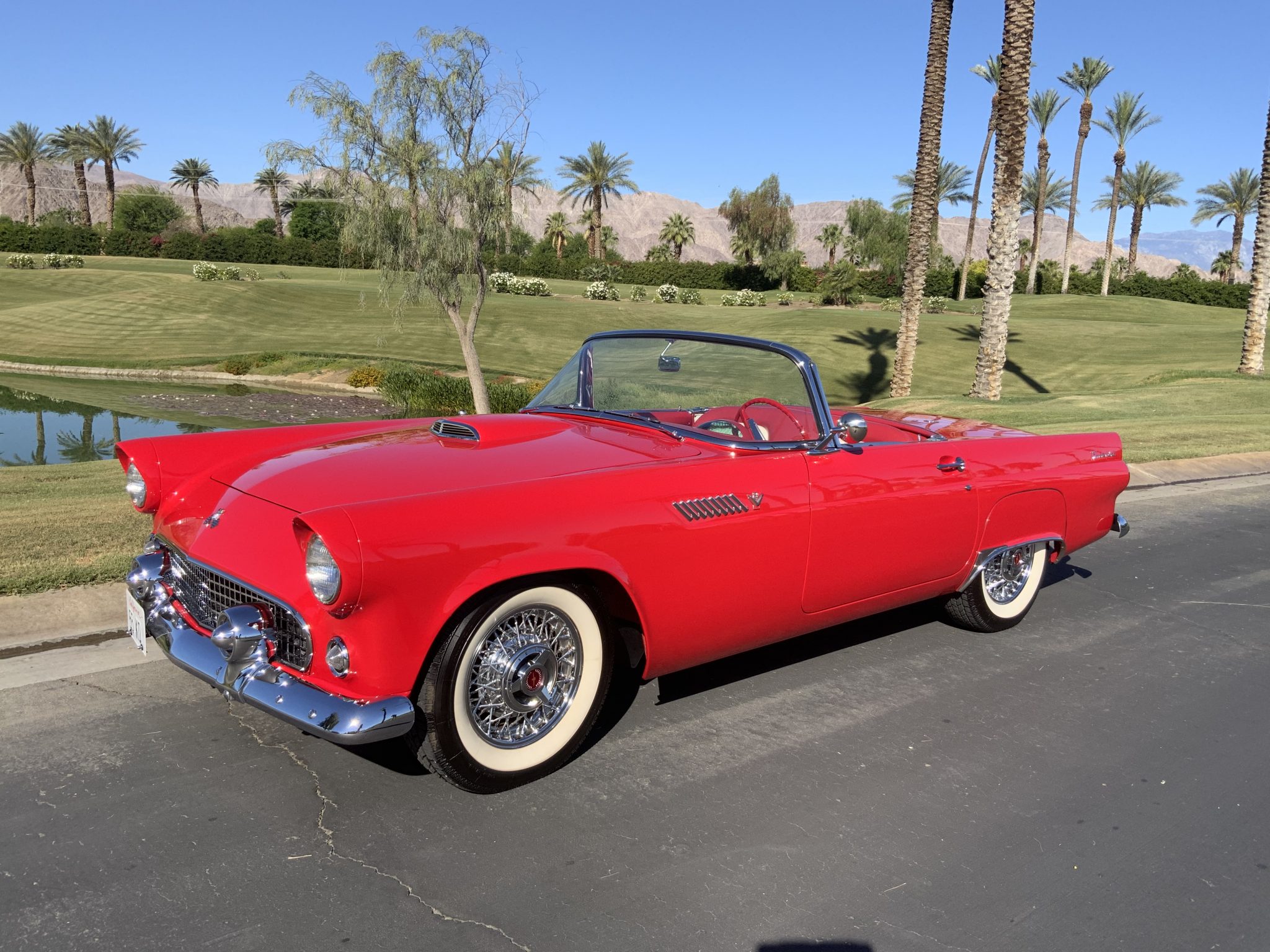 1955 Ford Thunderbird