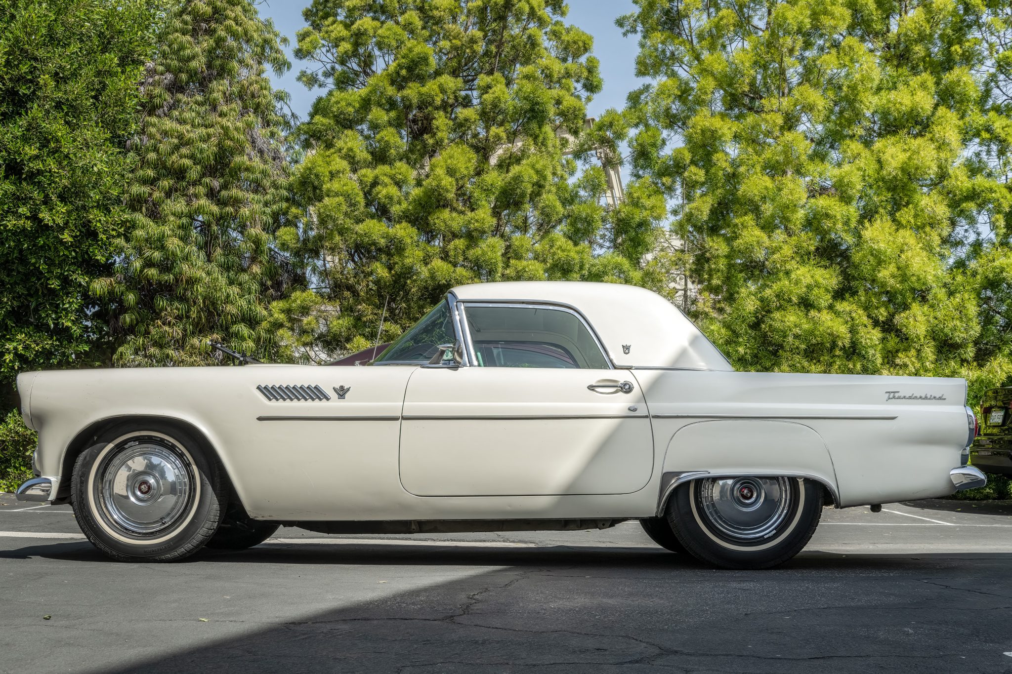 1955 Ford Thunderbird