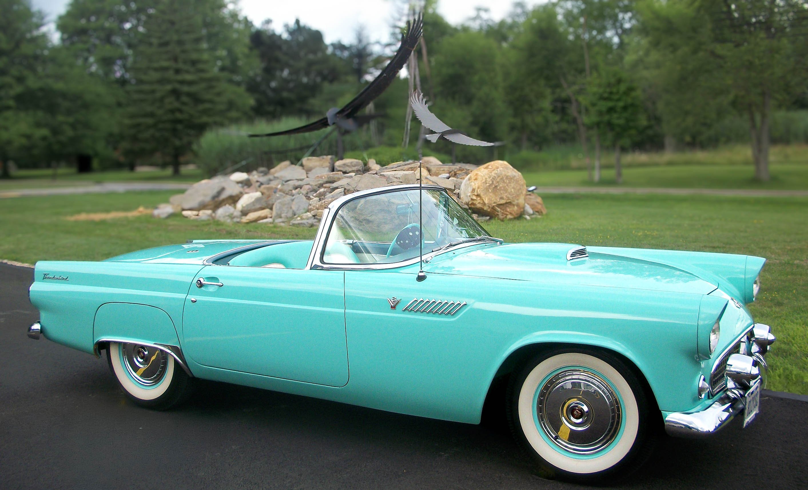 1955 Thunderbird Sign Removed.jpg