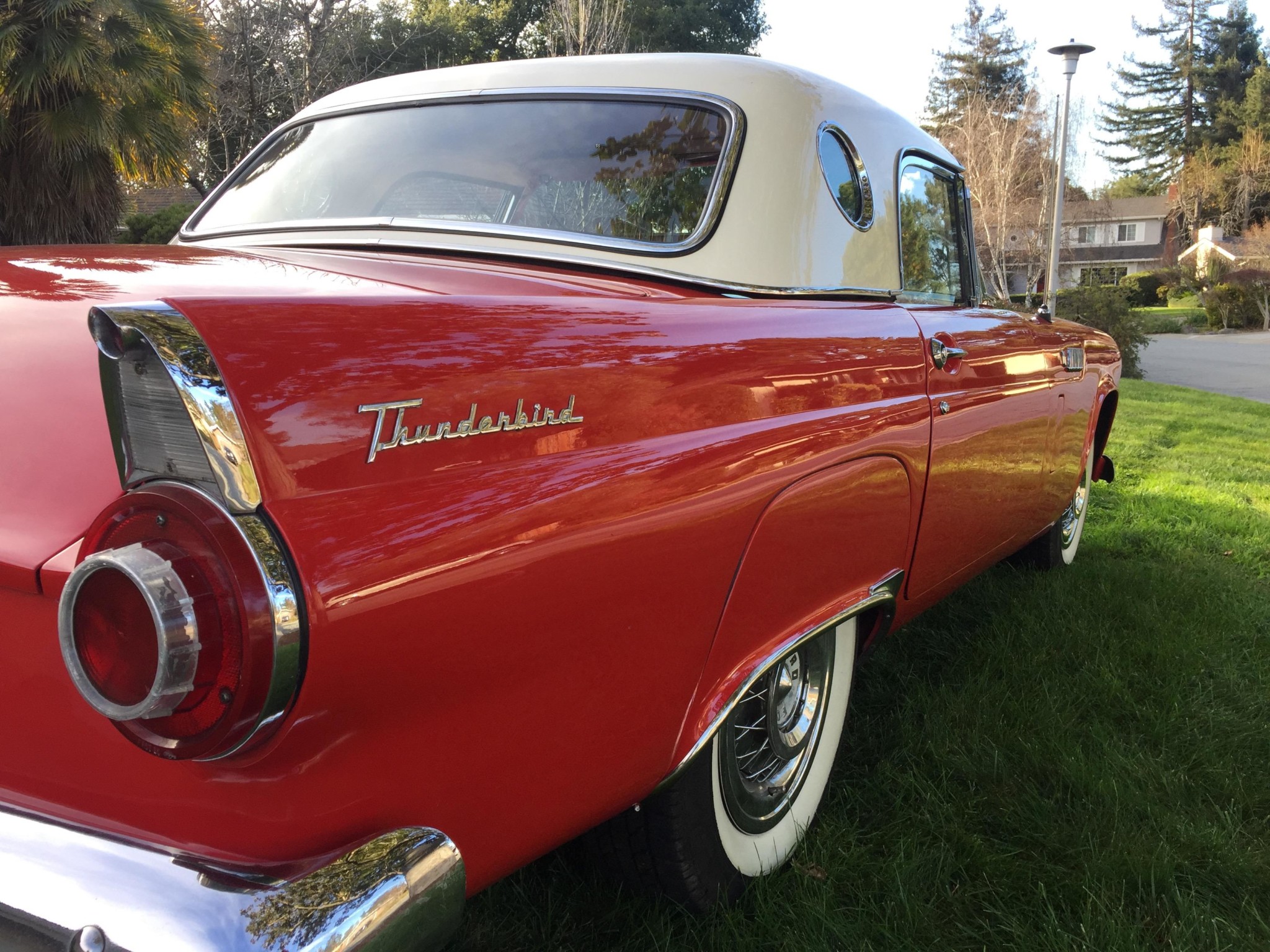 1956 Ford Thunderbird