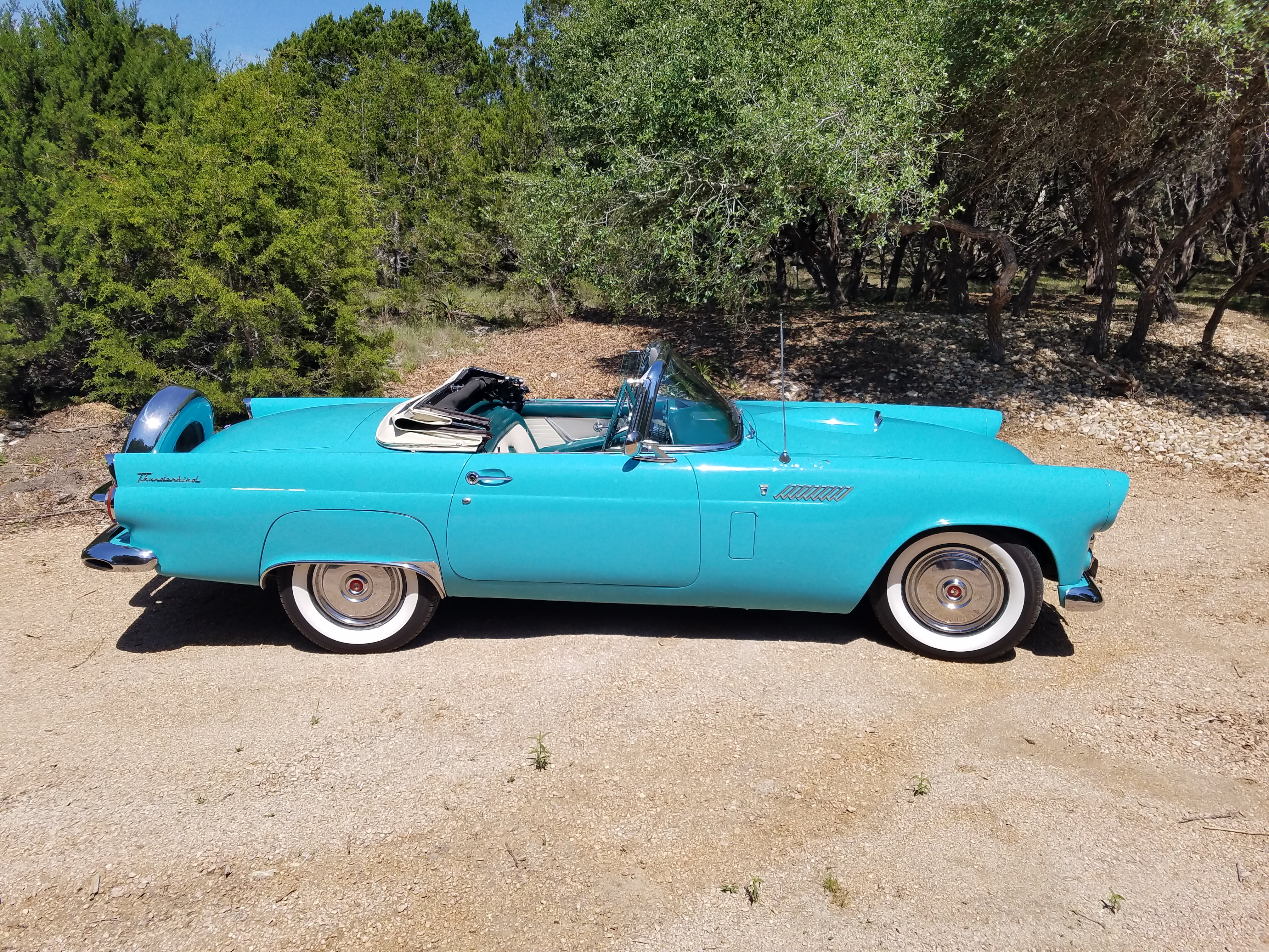 1956 Thunderbird