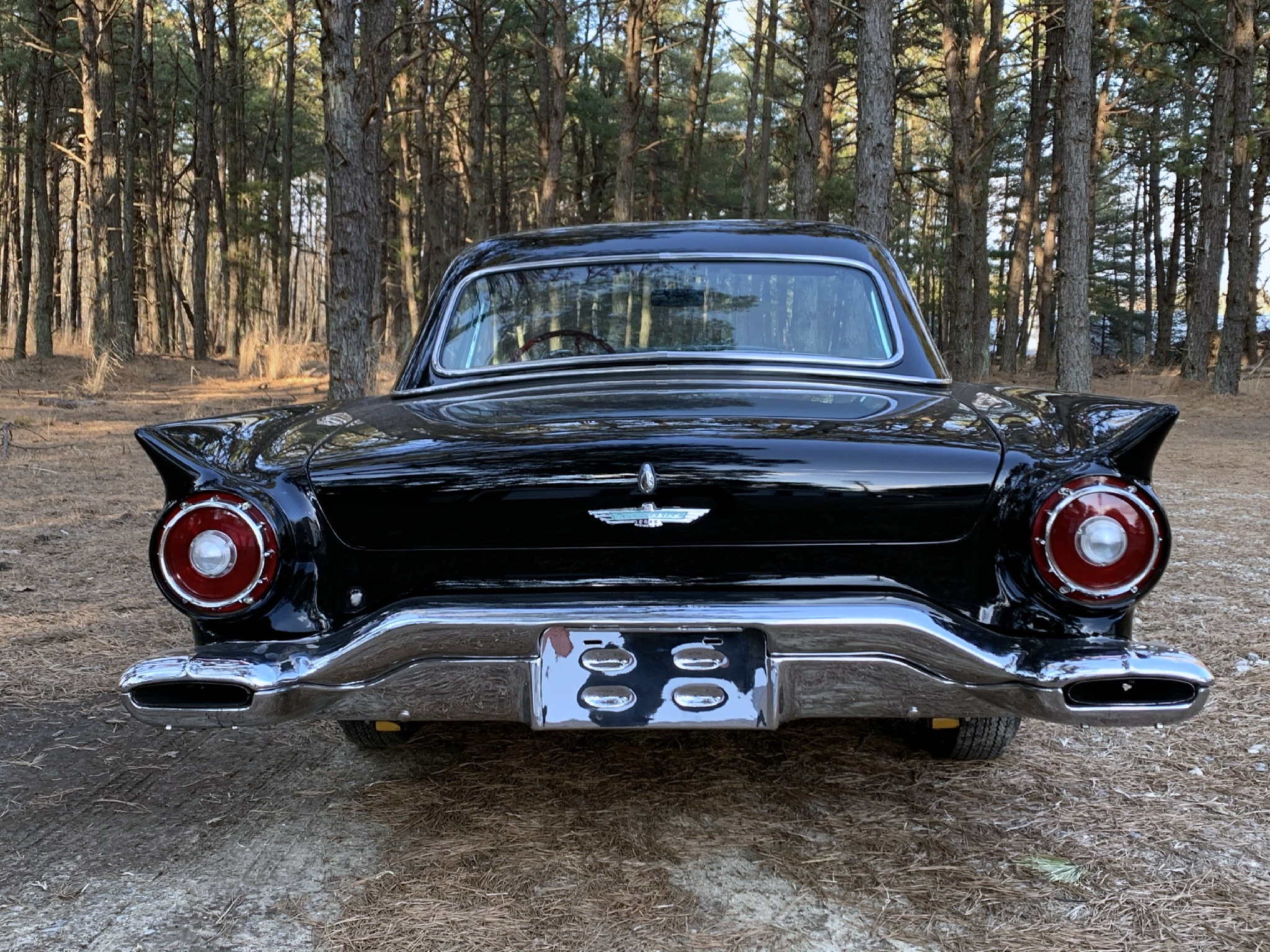 1957 Ford Thunderbird Black Rear Bumper