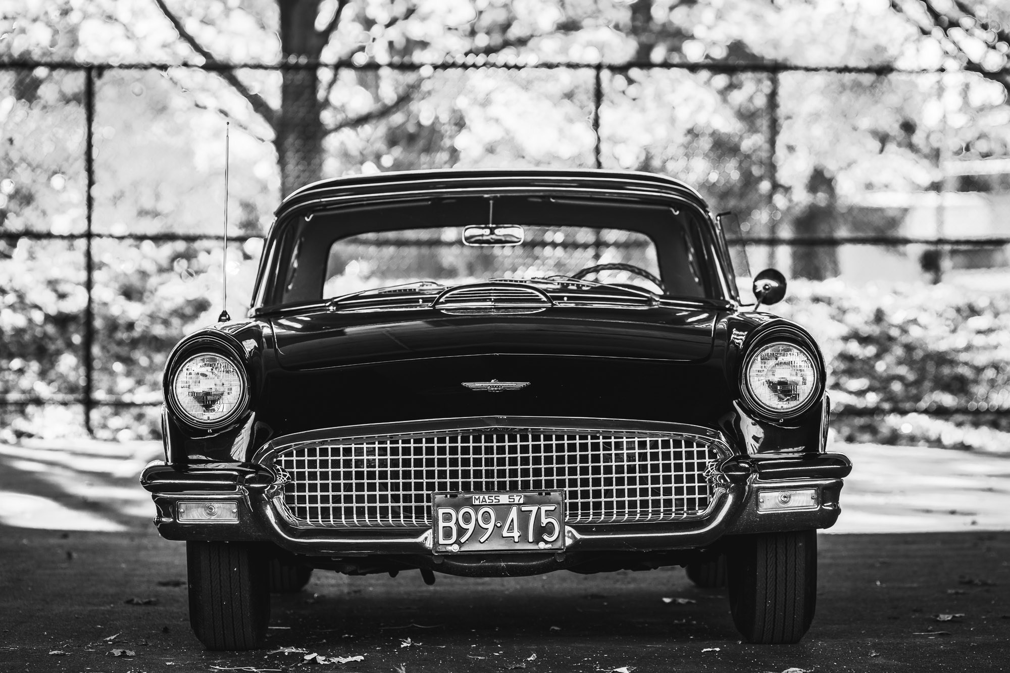 1957 Ford Thunderbird Front End