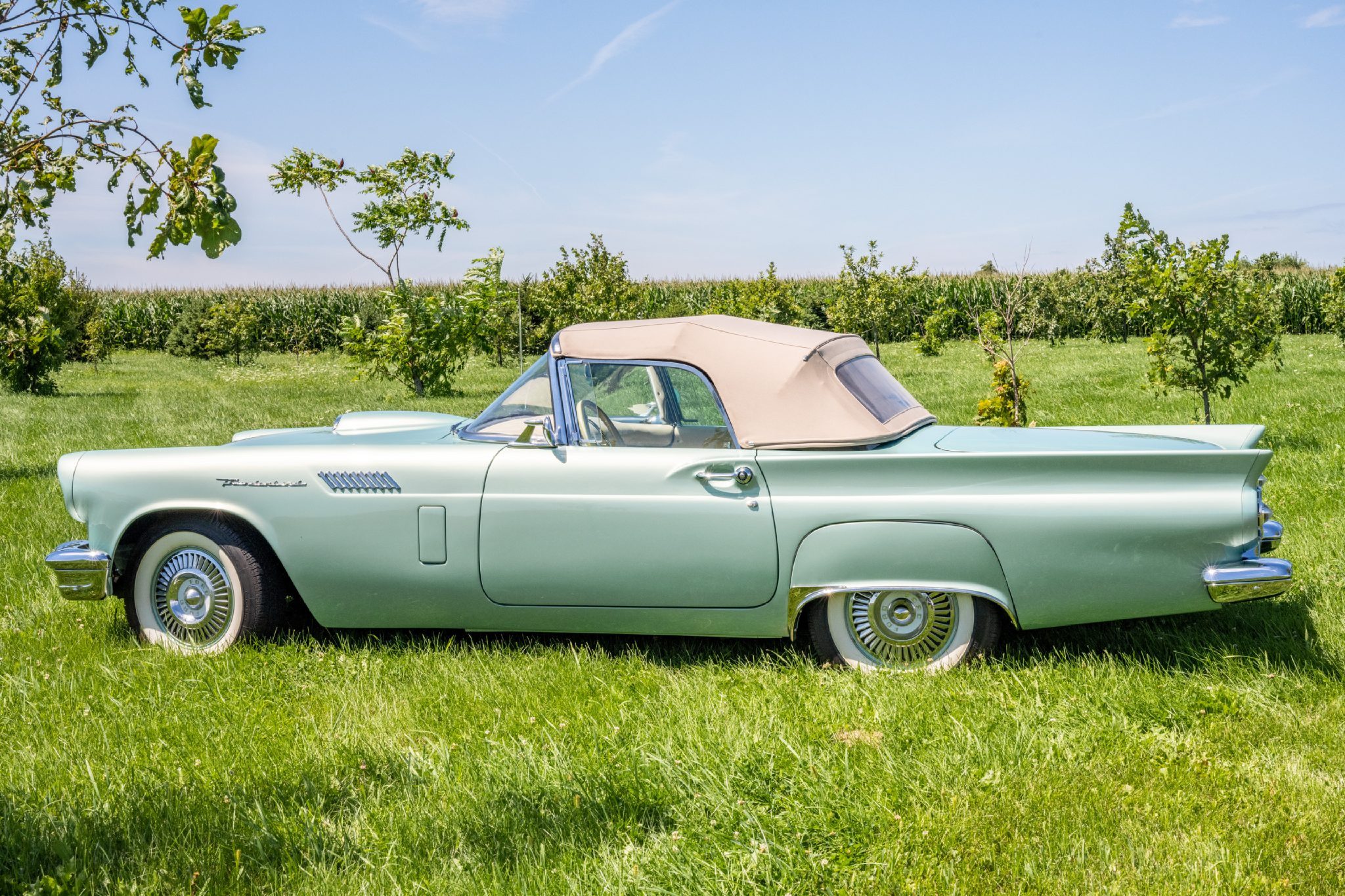 1957 Ford Thunderbird in a field