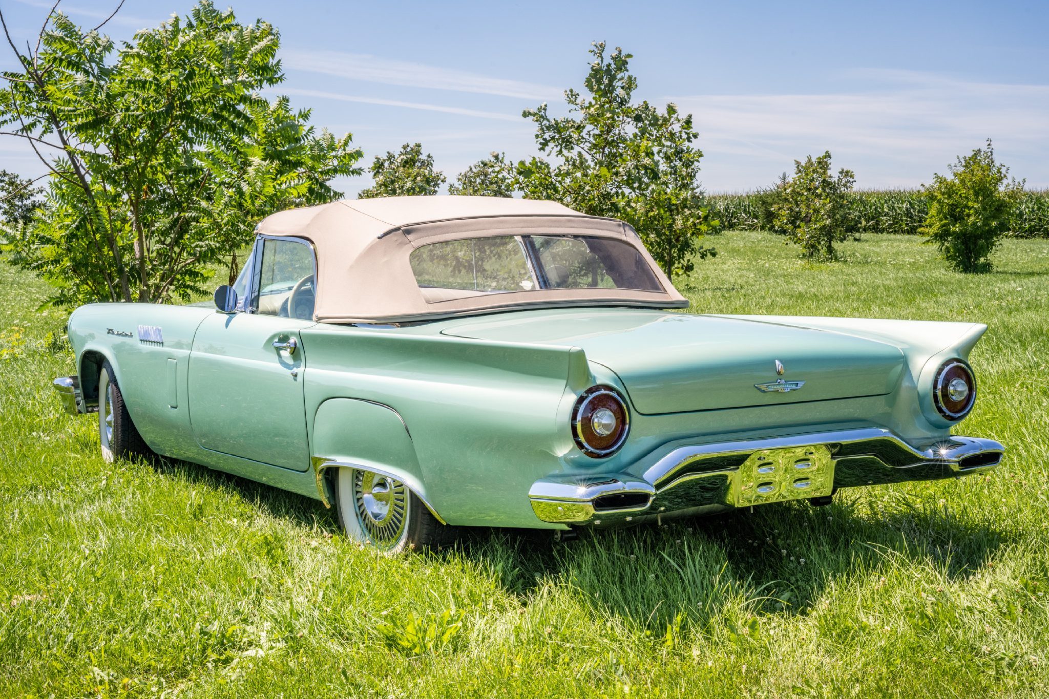 1957 Ford Thunderbird in a field