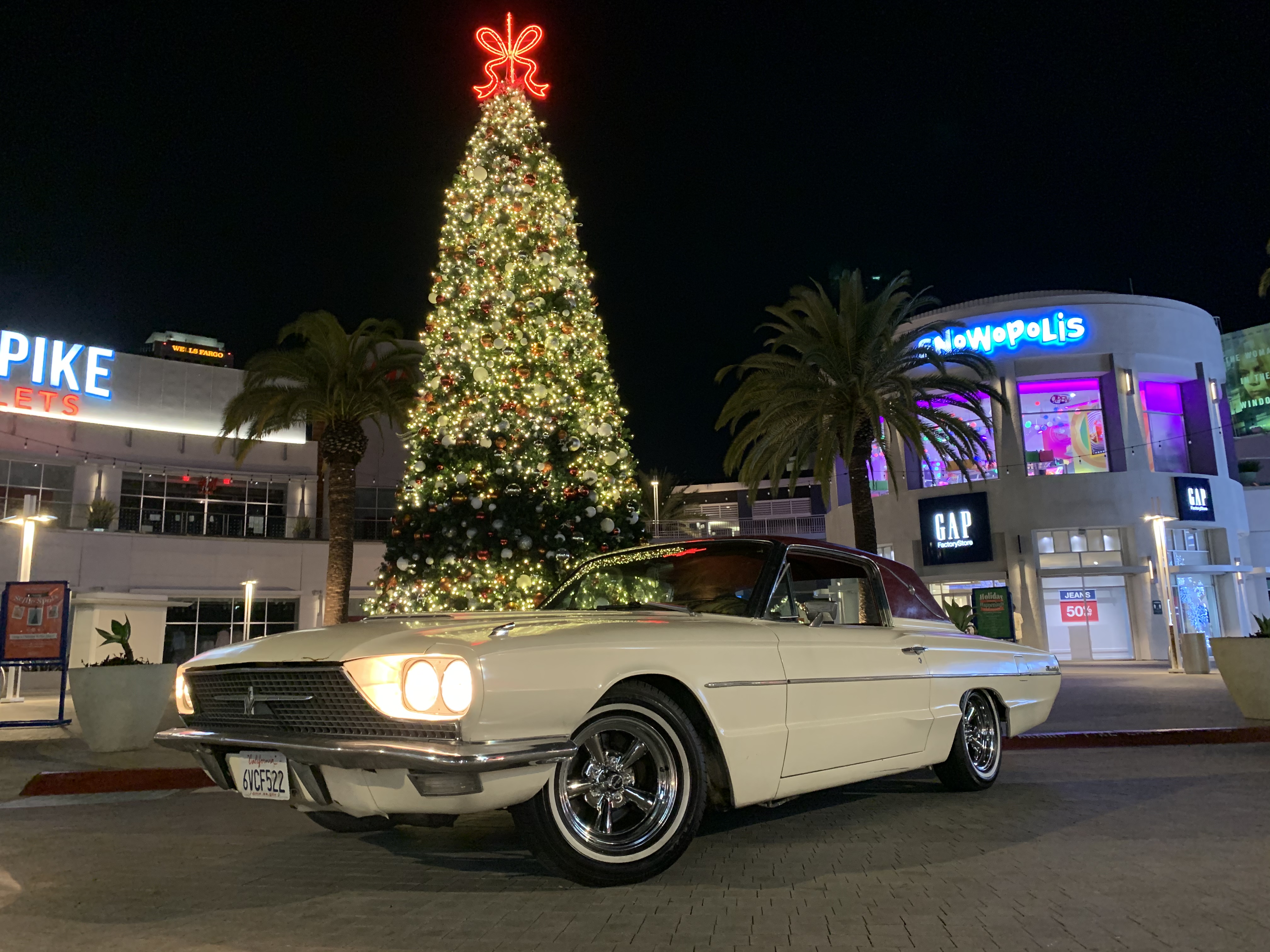 1966 Thunderbird under Christmas Tree