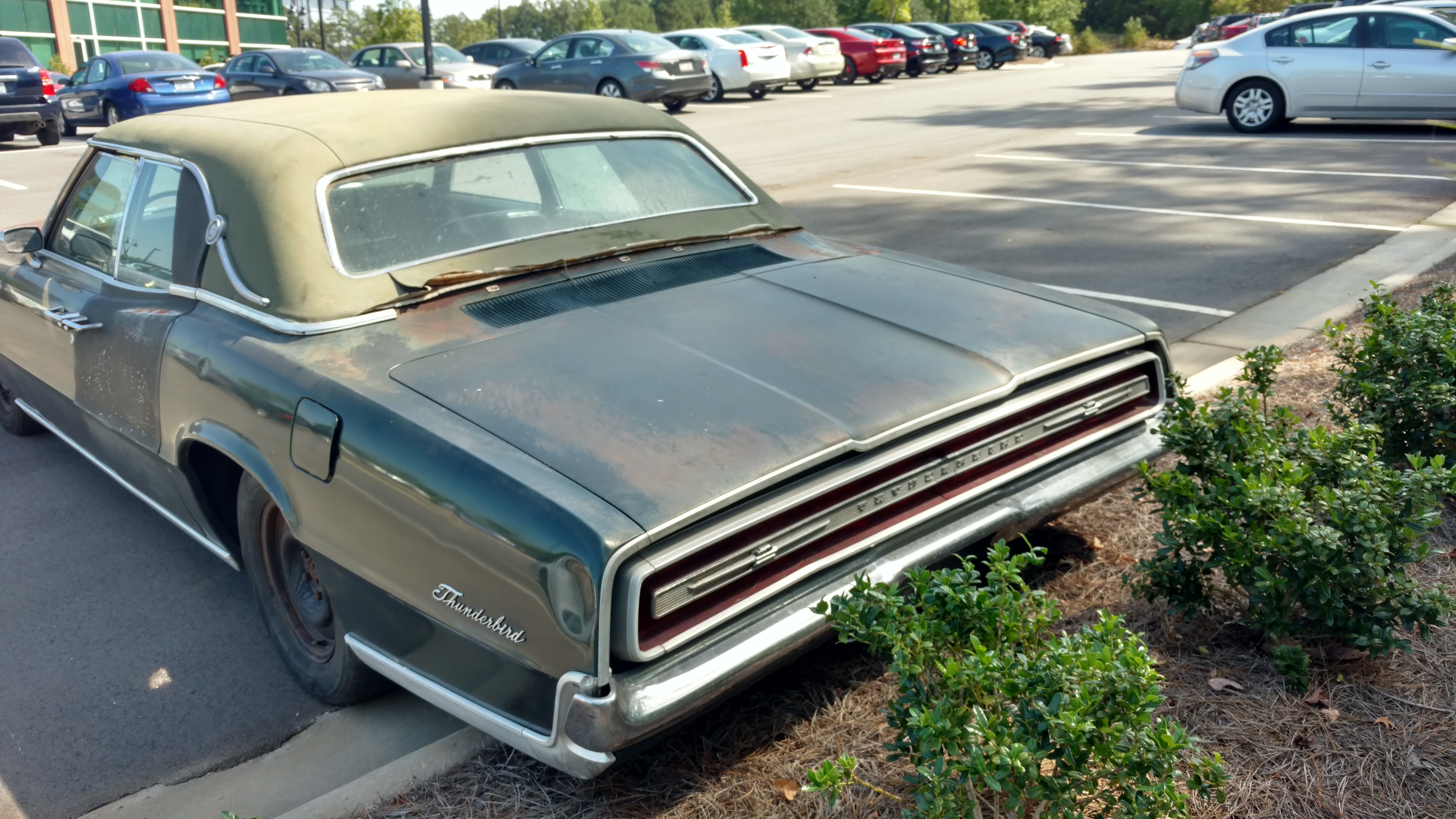 1967 Fordor left rear