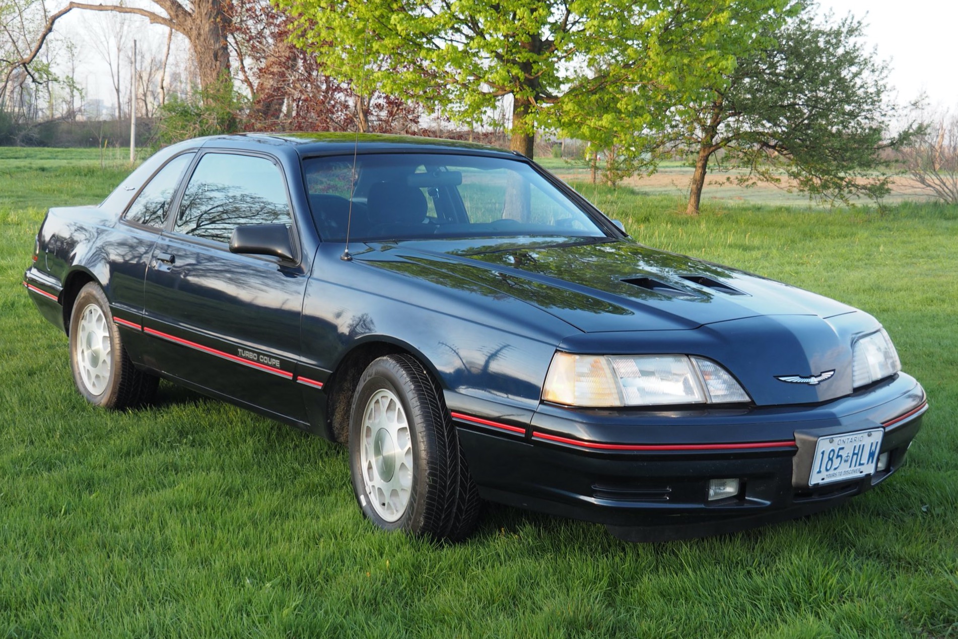 1988 Ford Thunderbird Turbo Coupe 5-Speed