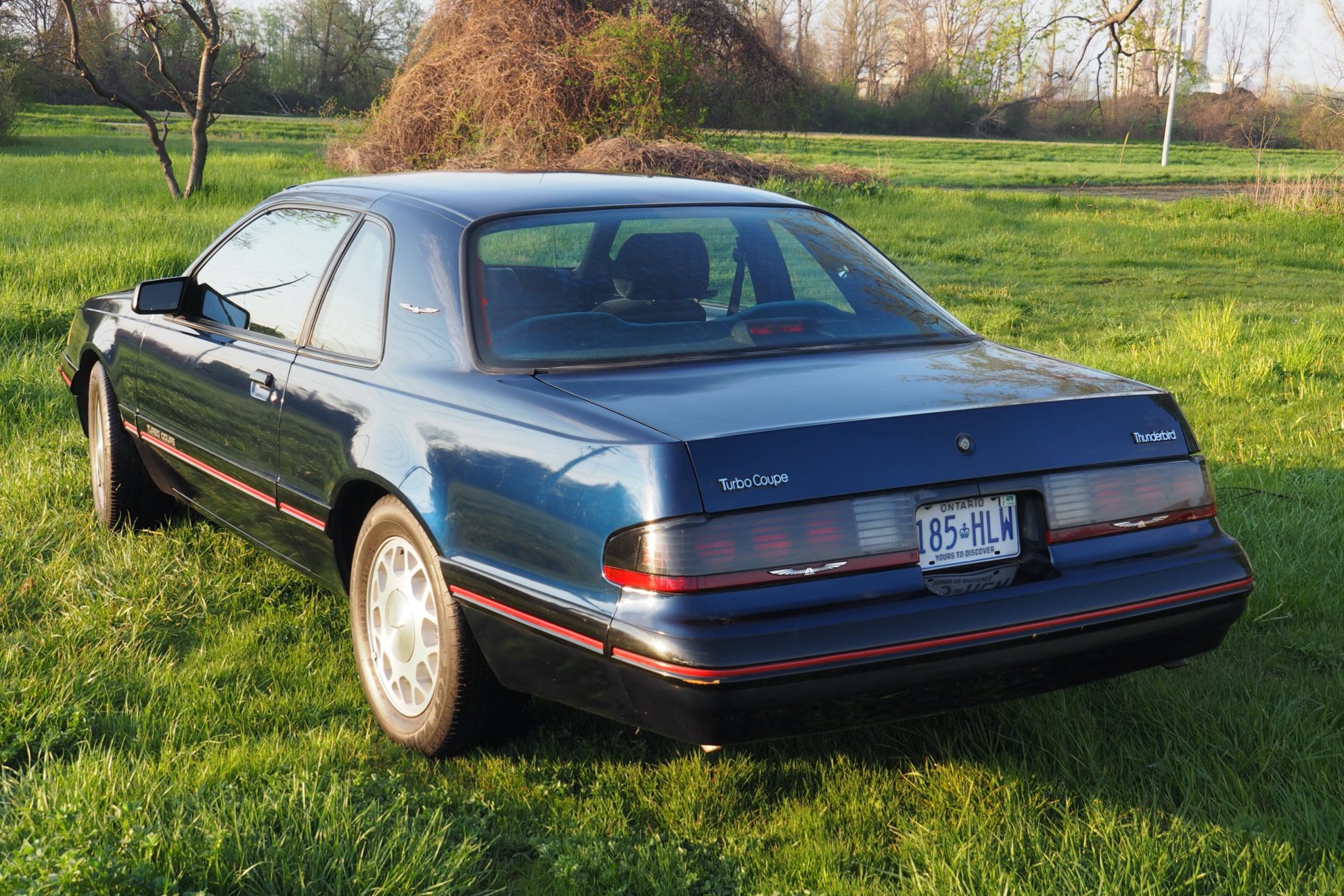 1988 Ford Thunderbird Turbo Coupe 5-Speed