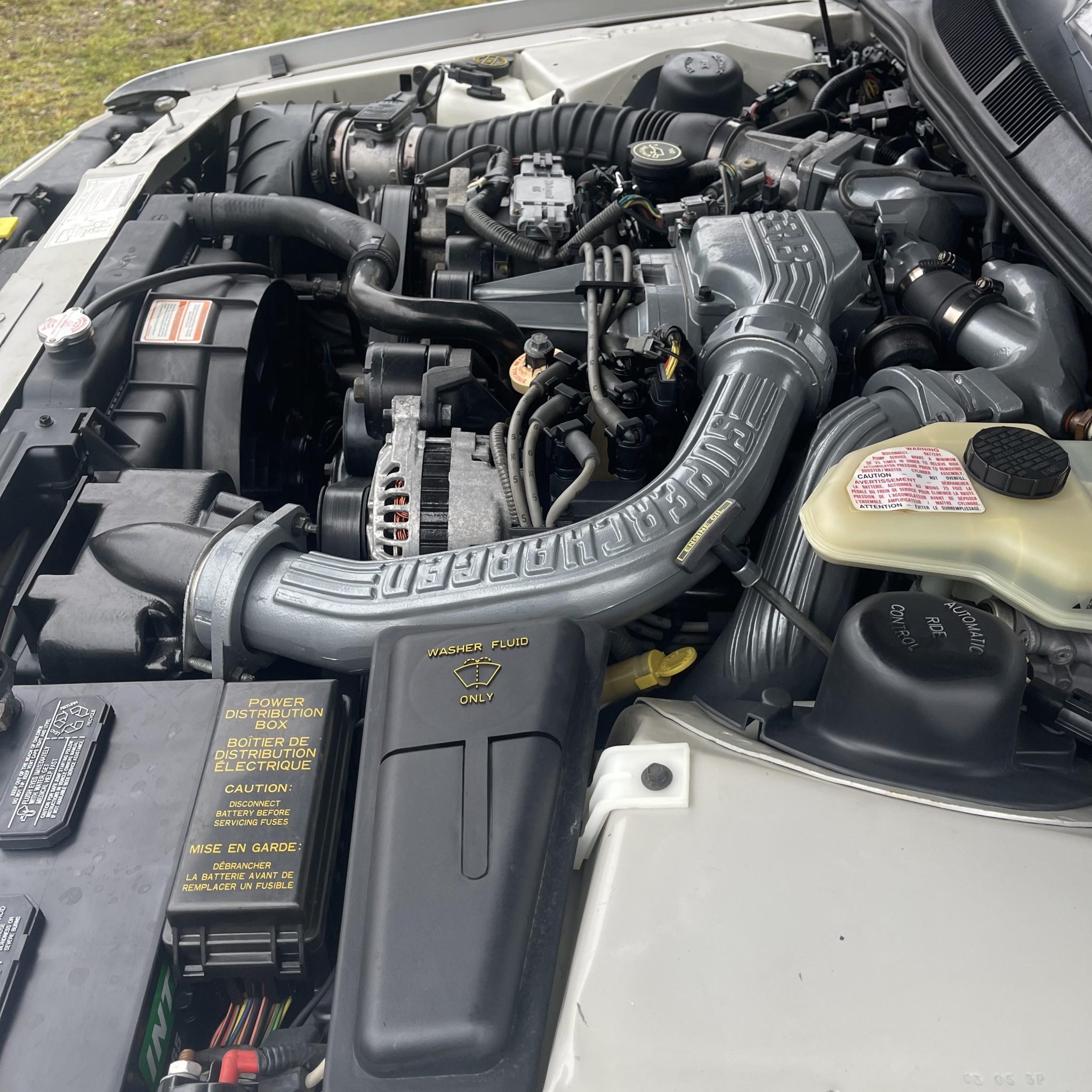 1992 Ford Thunderbird Super Coupe