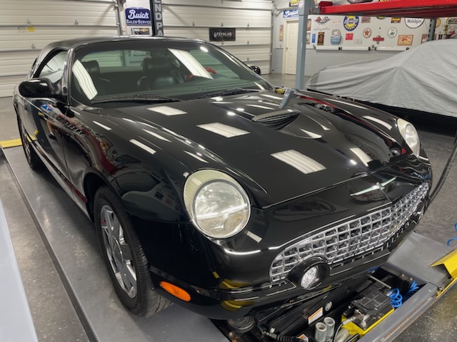 2002 WV Thunderbird, Fresh Paint Correction and Ceramic Seal by https://www.facebook.com/portertoybarn