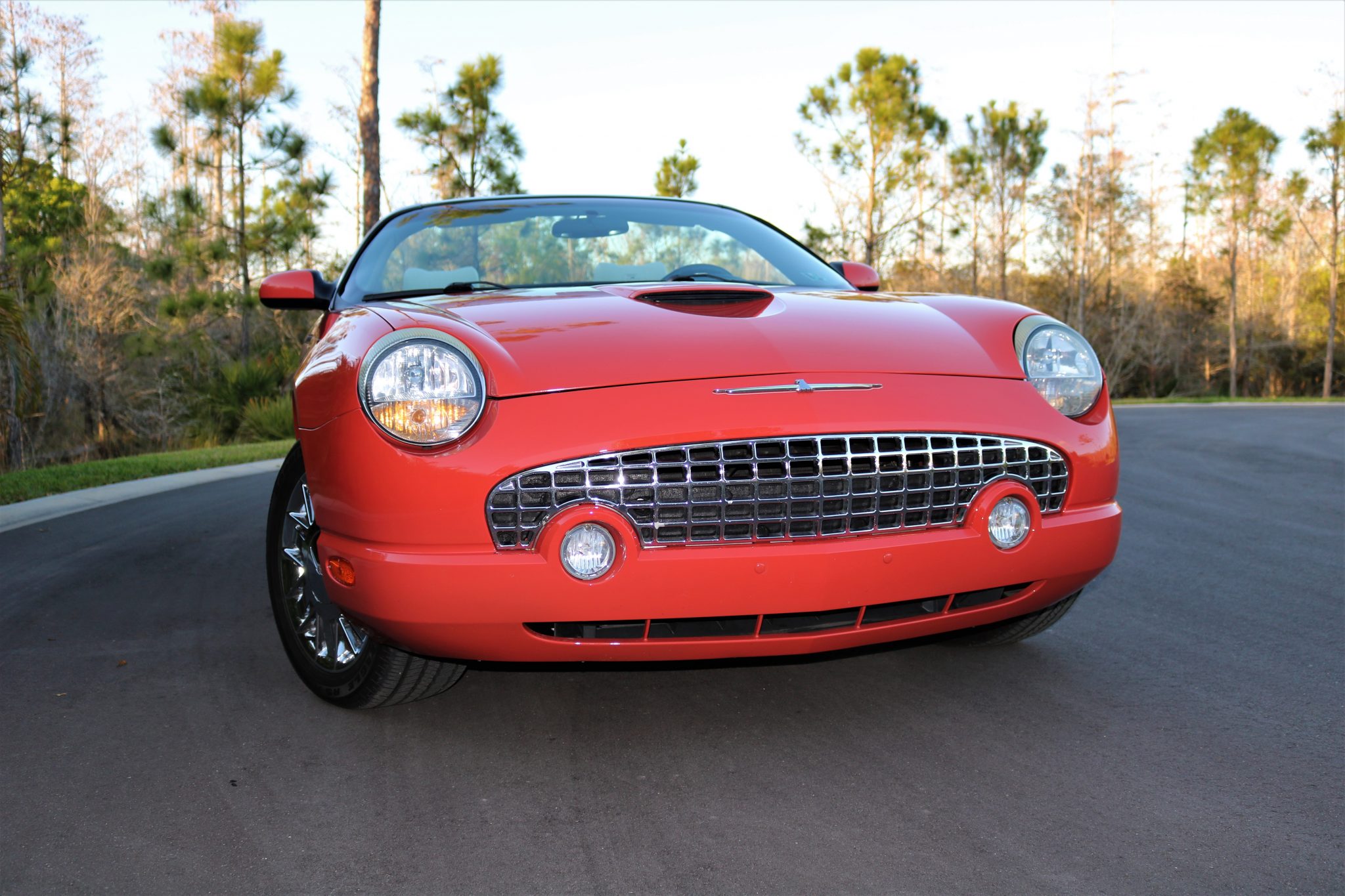 2003 James Bond Ford Thunderbird Front Grill