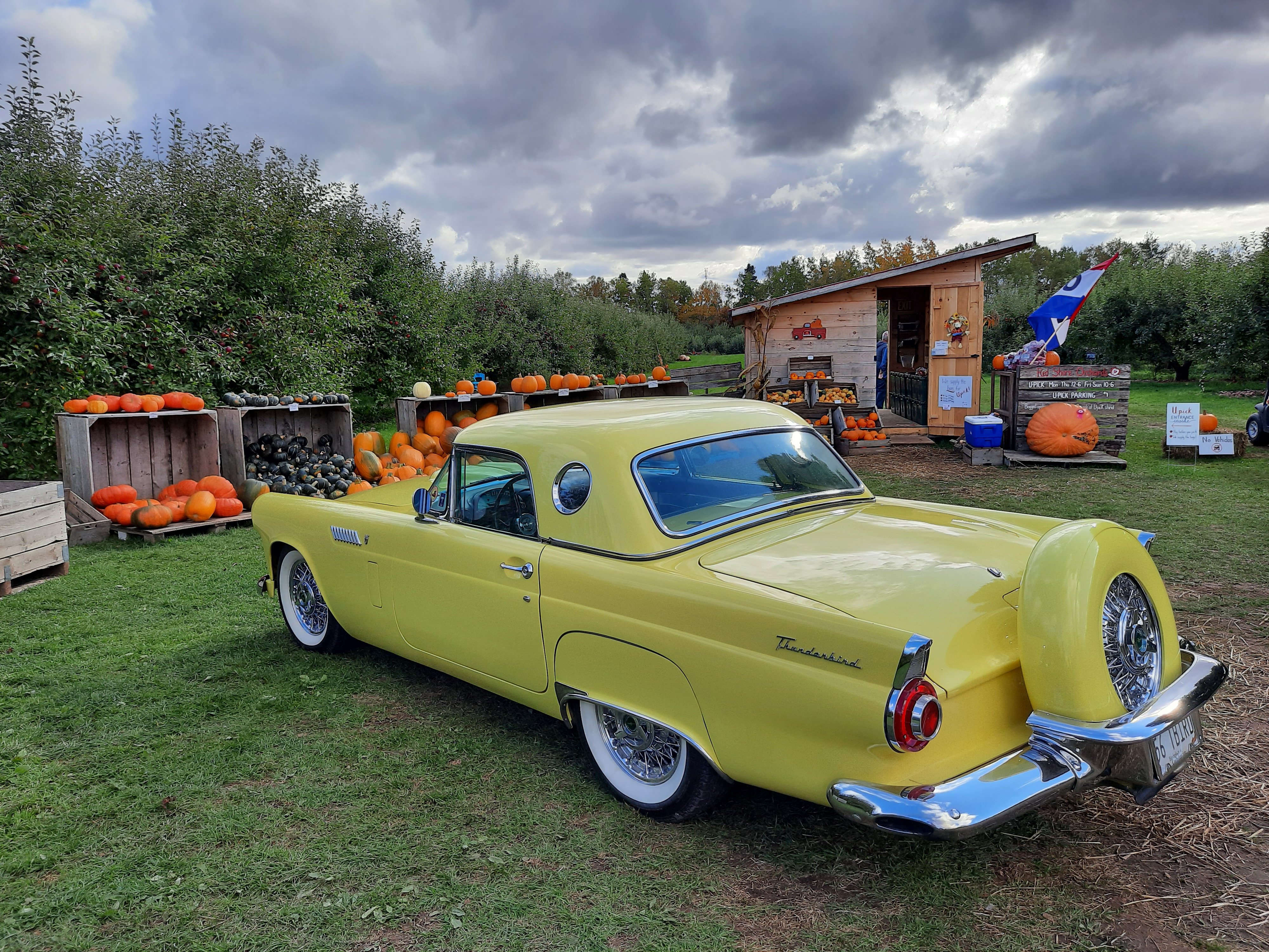 20211020_141308 - Copy.jpg