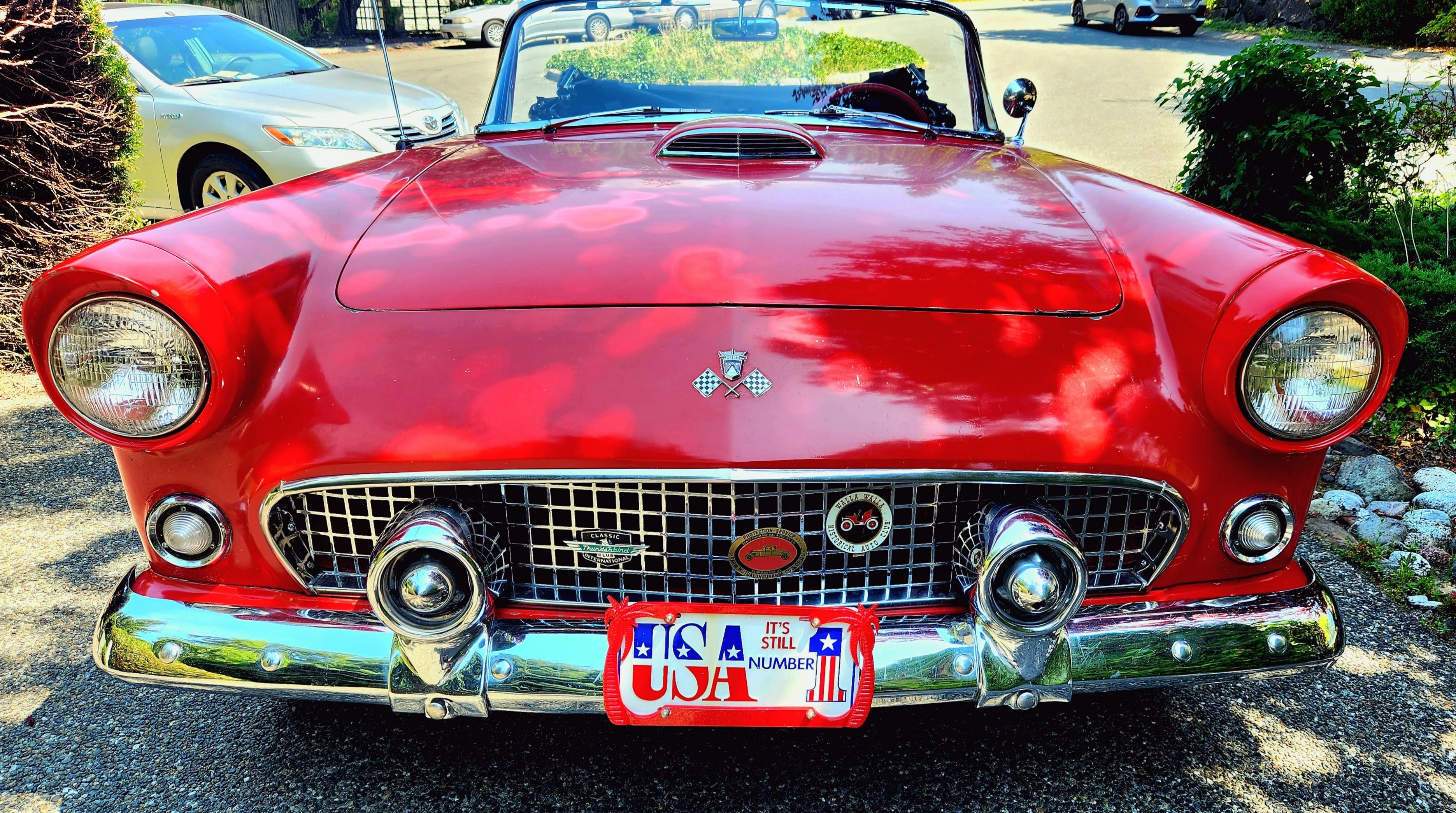 '55 T-Bird - USA #1