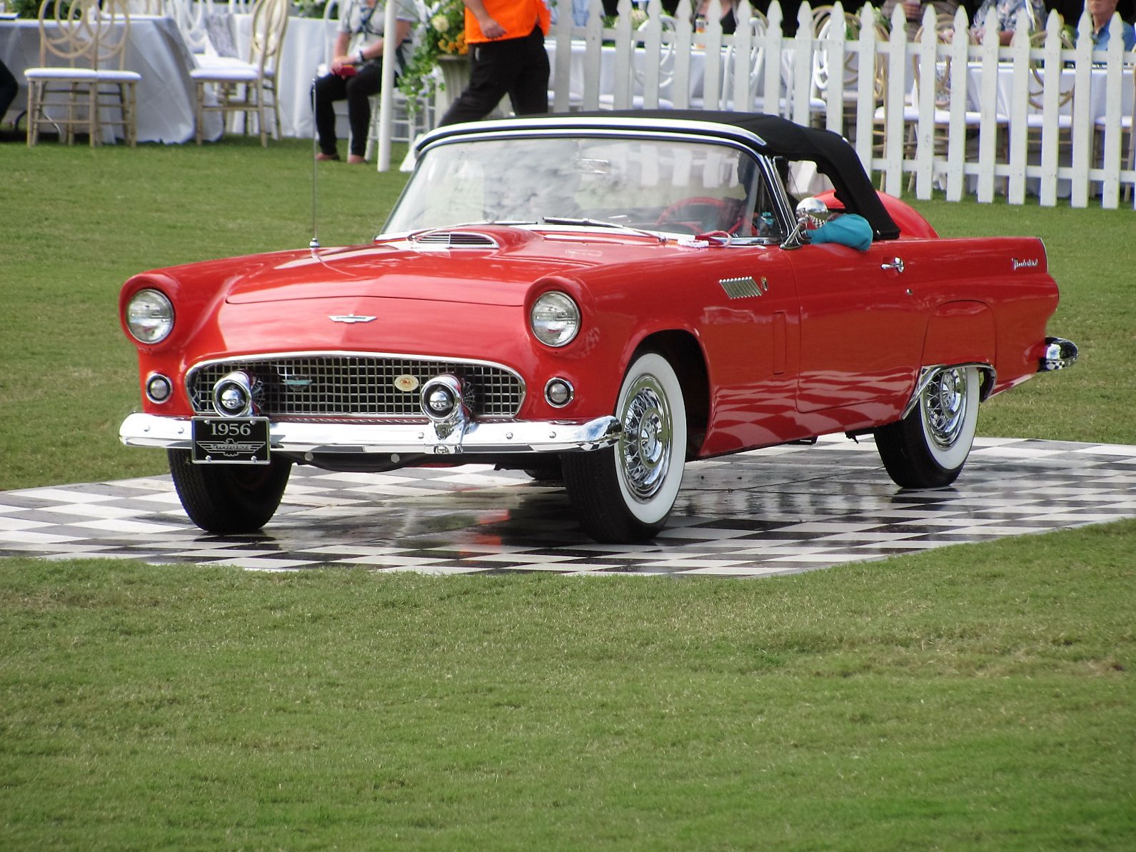 Best Thunderbird, Hilton Head Island 2015