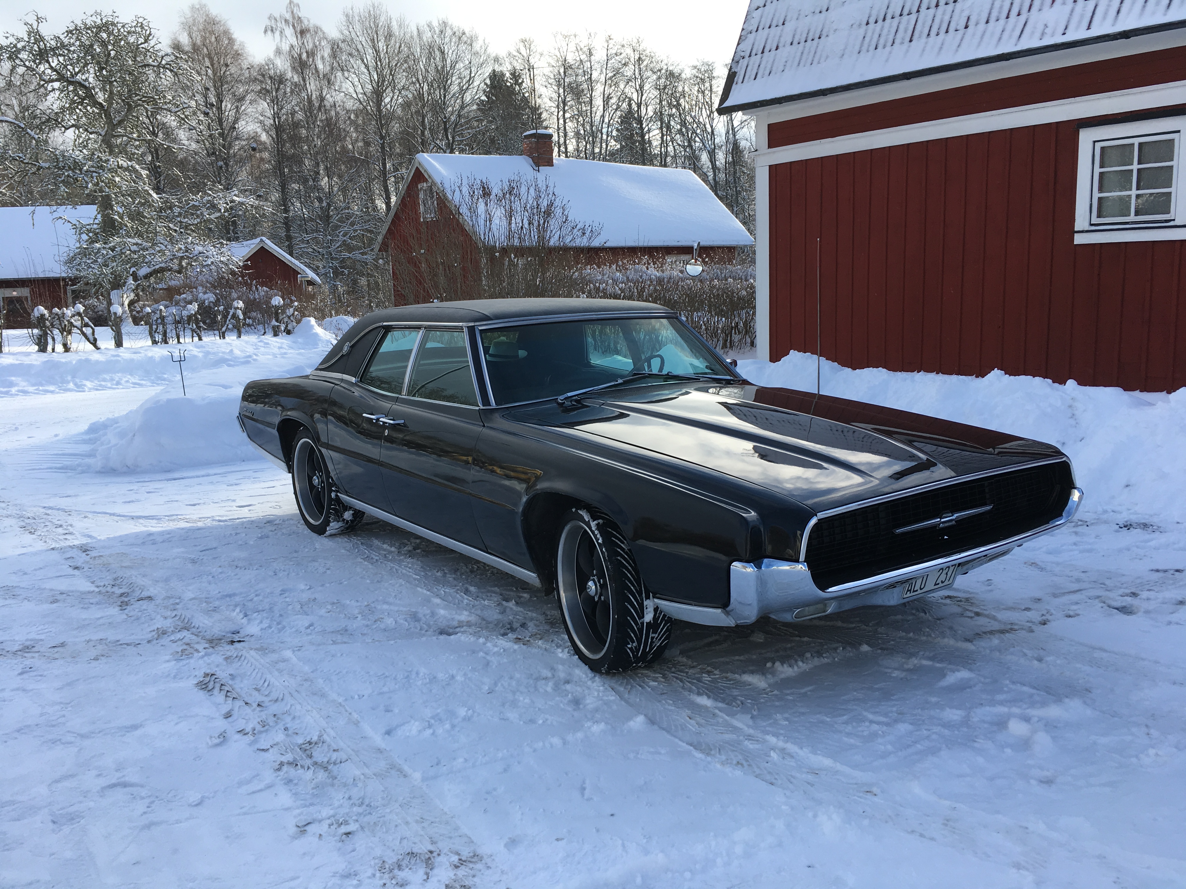 Don’t like winter
