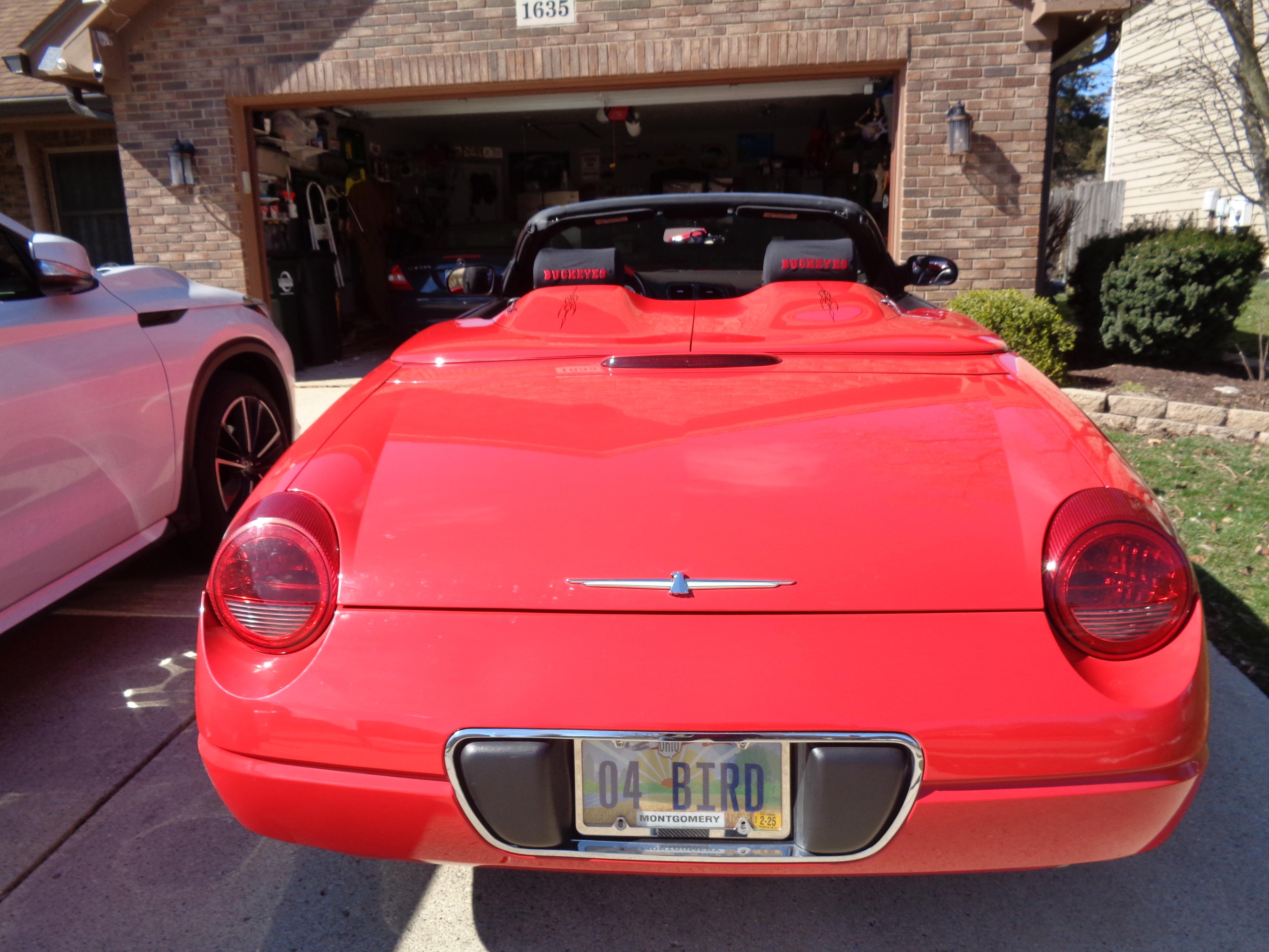 DSC01641.JPG
