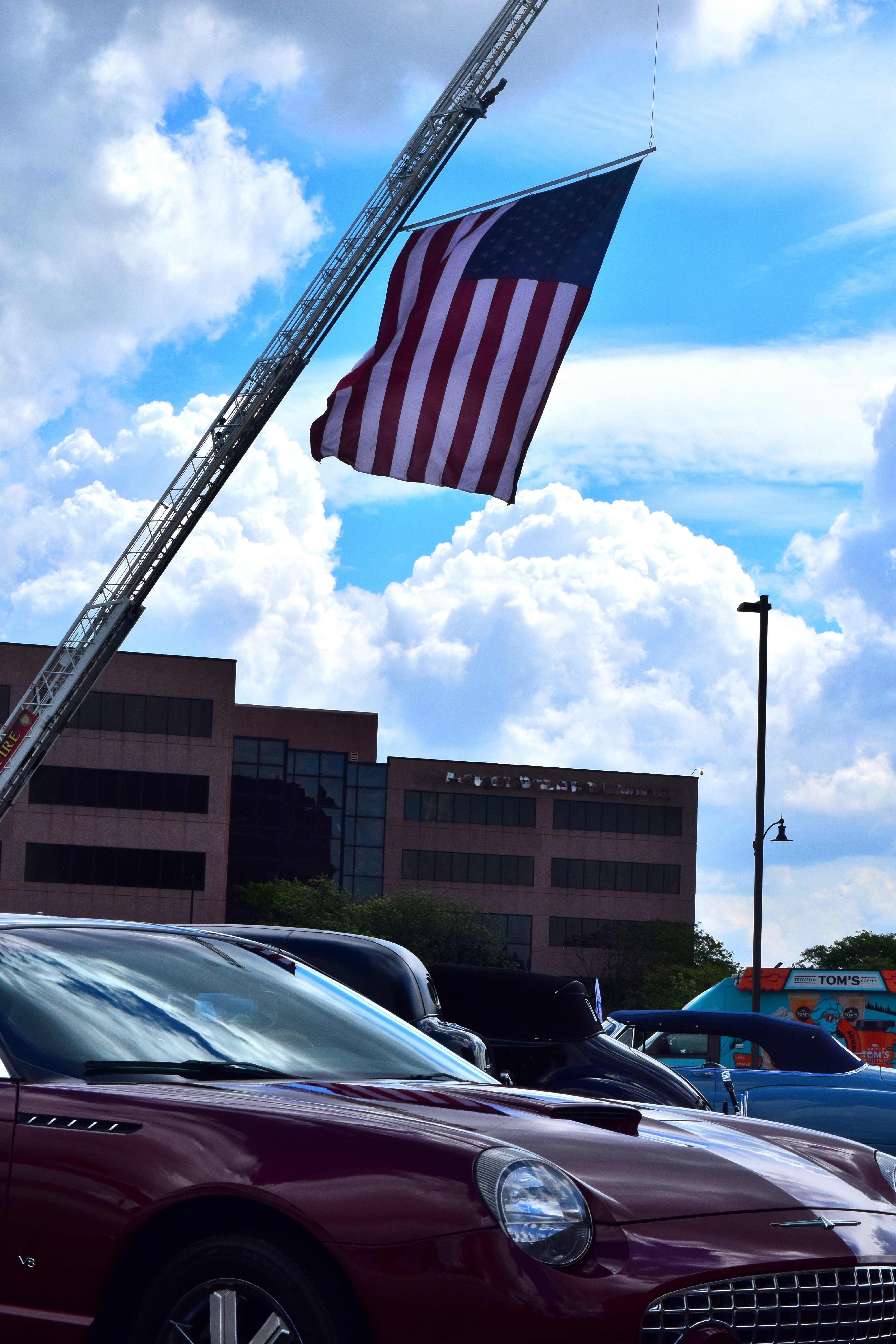 DSC_4454a.JPG