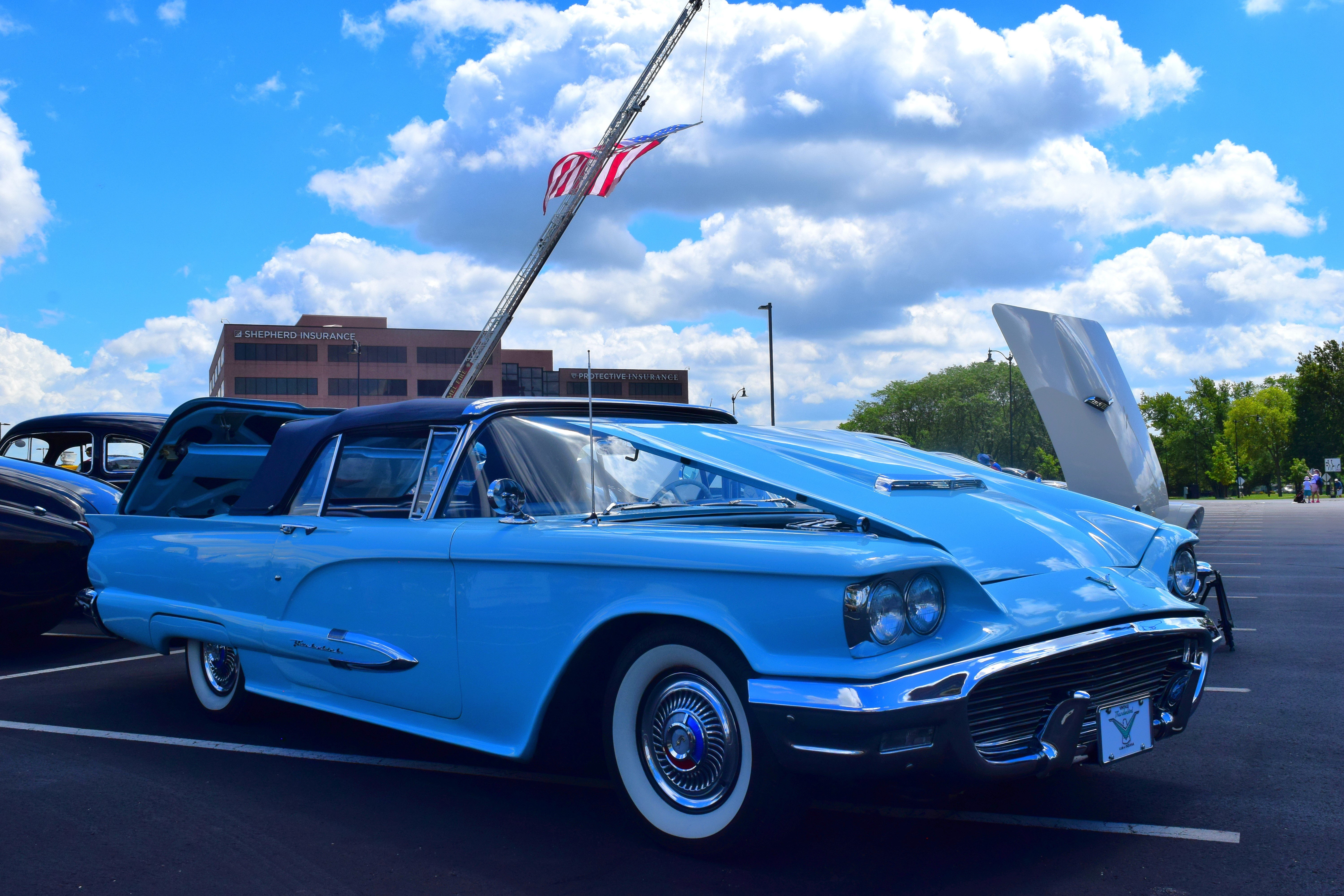 DSC_4461a.JPG