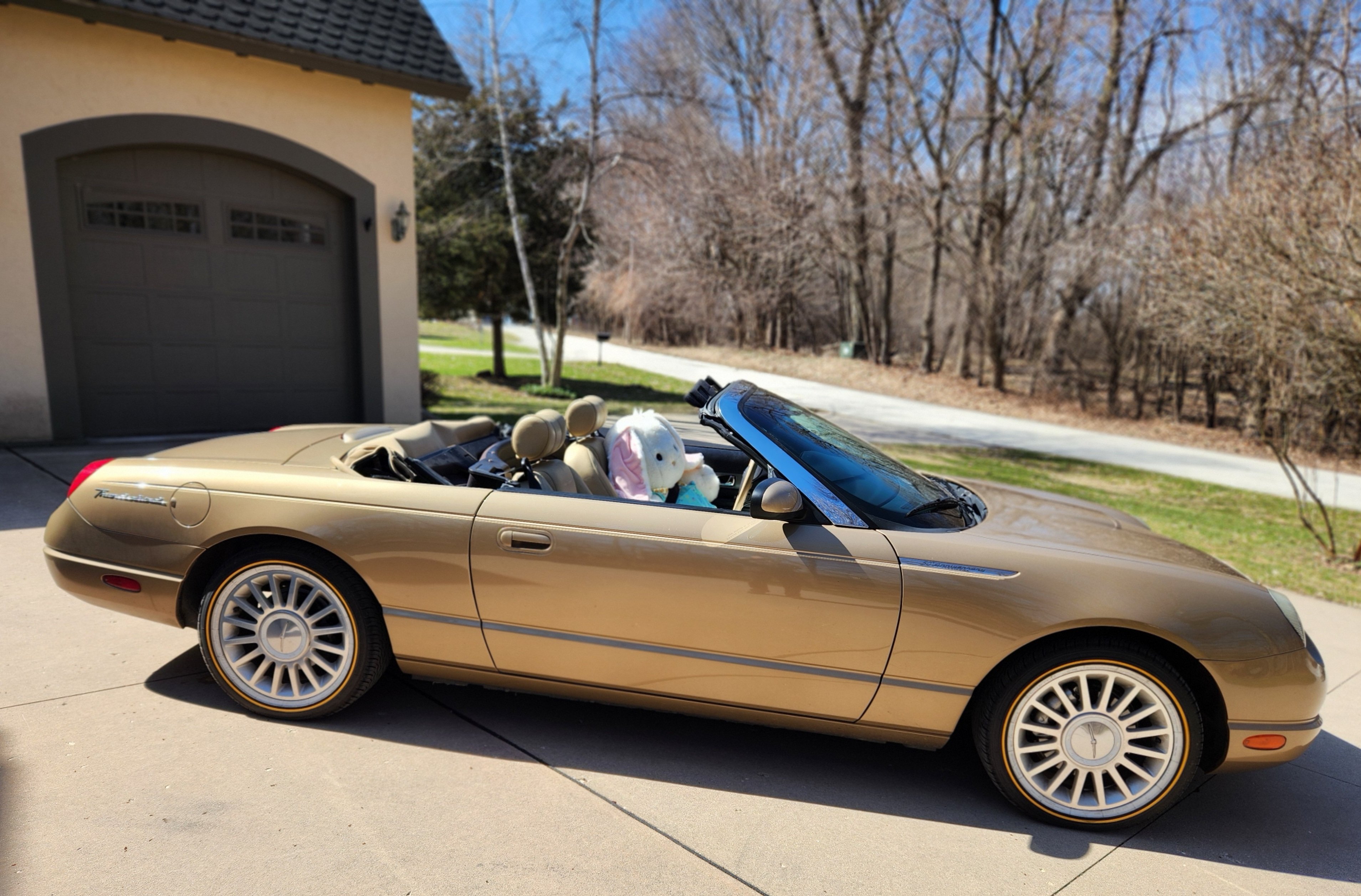 Easter Bunny Cruisin'