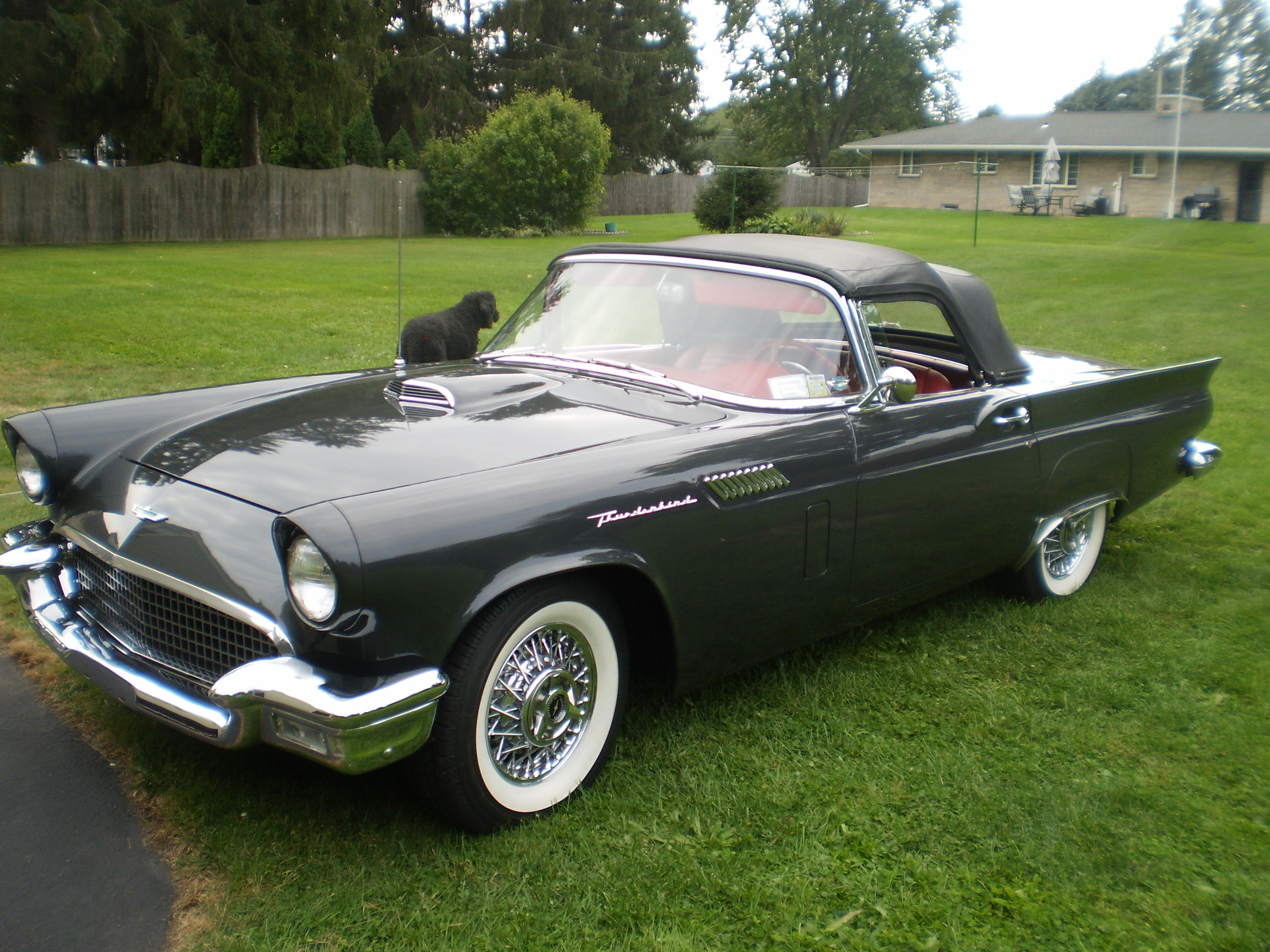 Ford Thunderbird Photo of the week