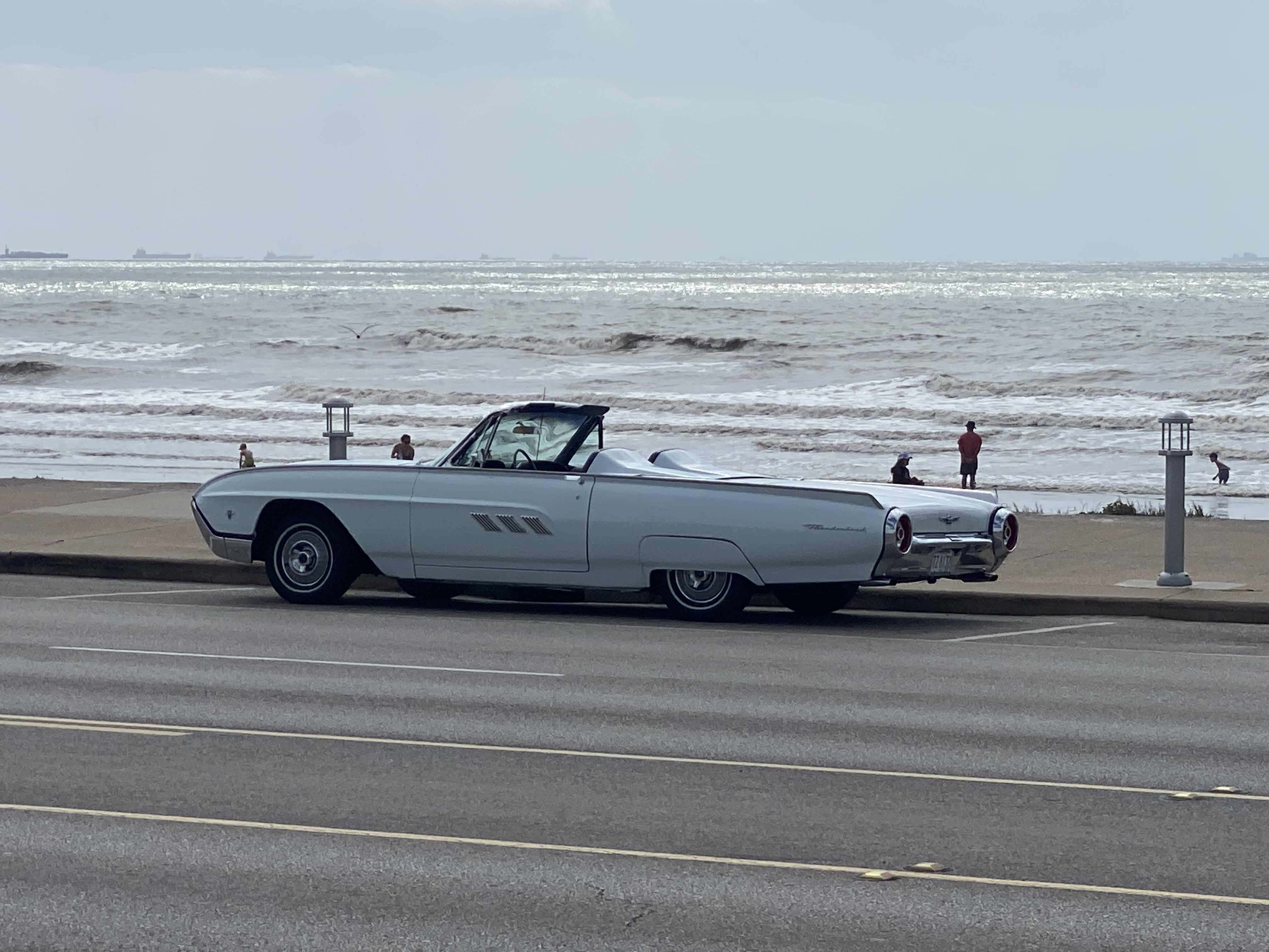 IMG_7049.jpeg