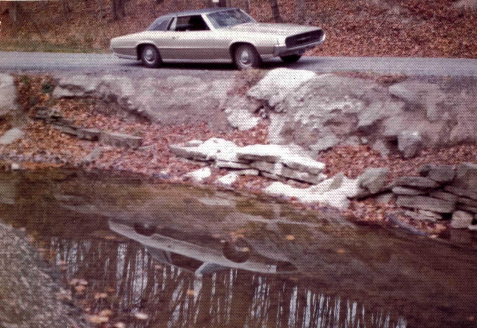 My first 67 Landau