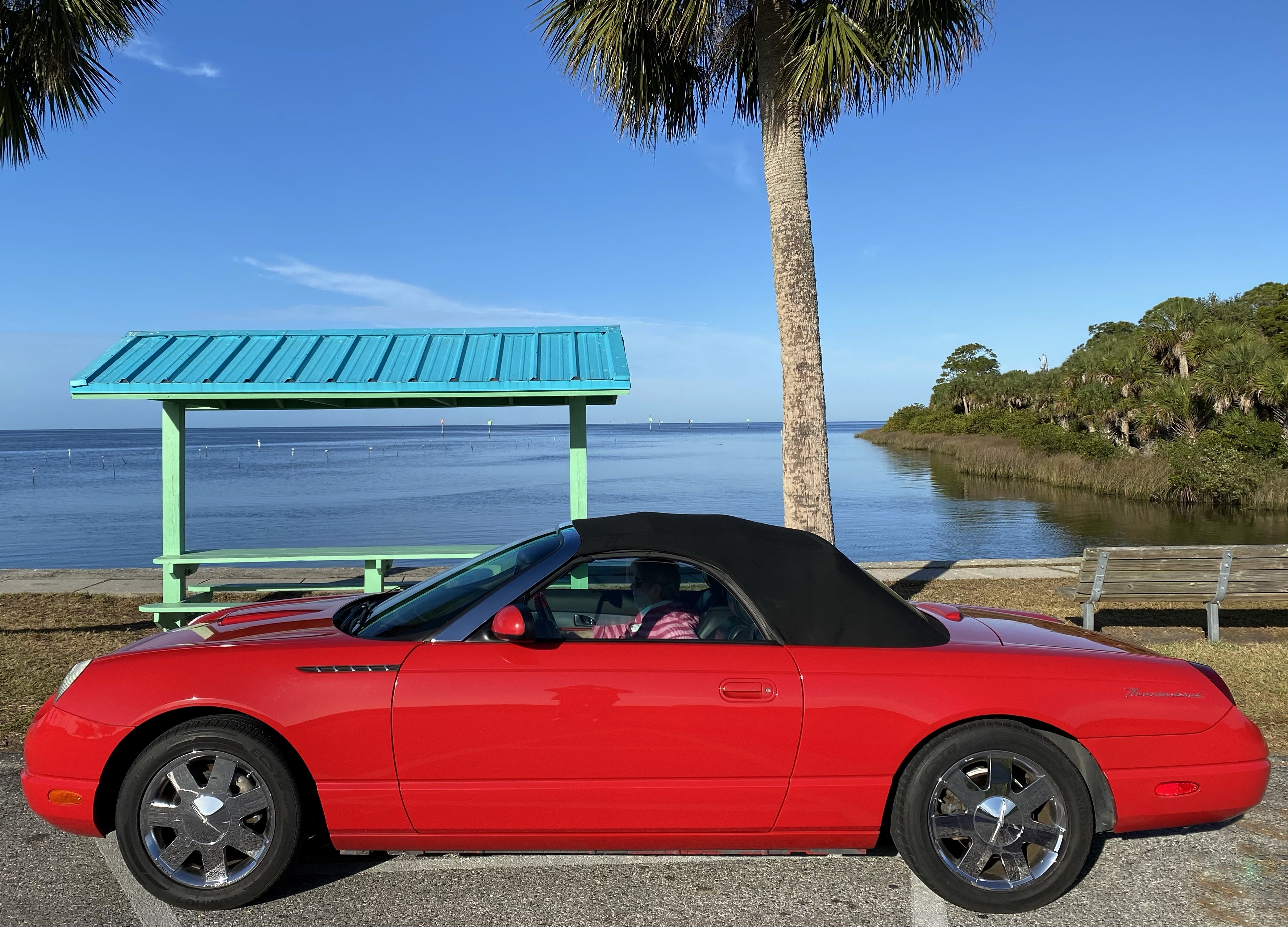 Perfect Sunshine State car