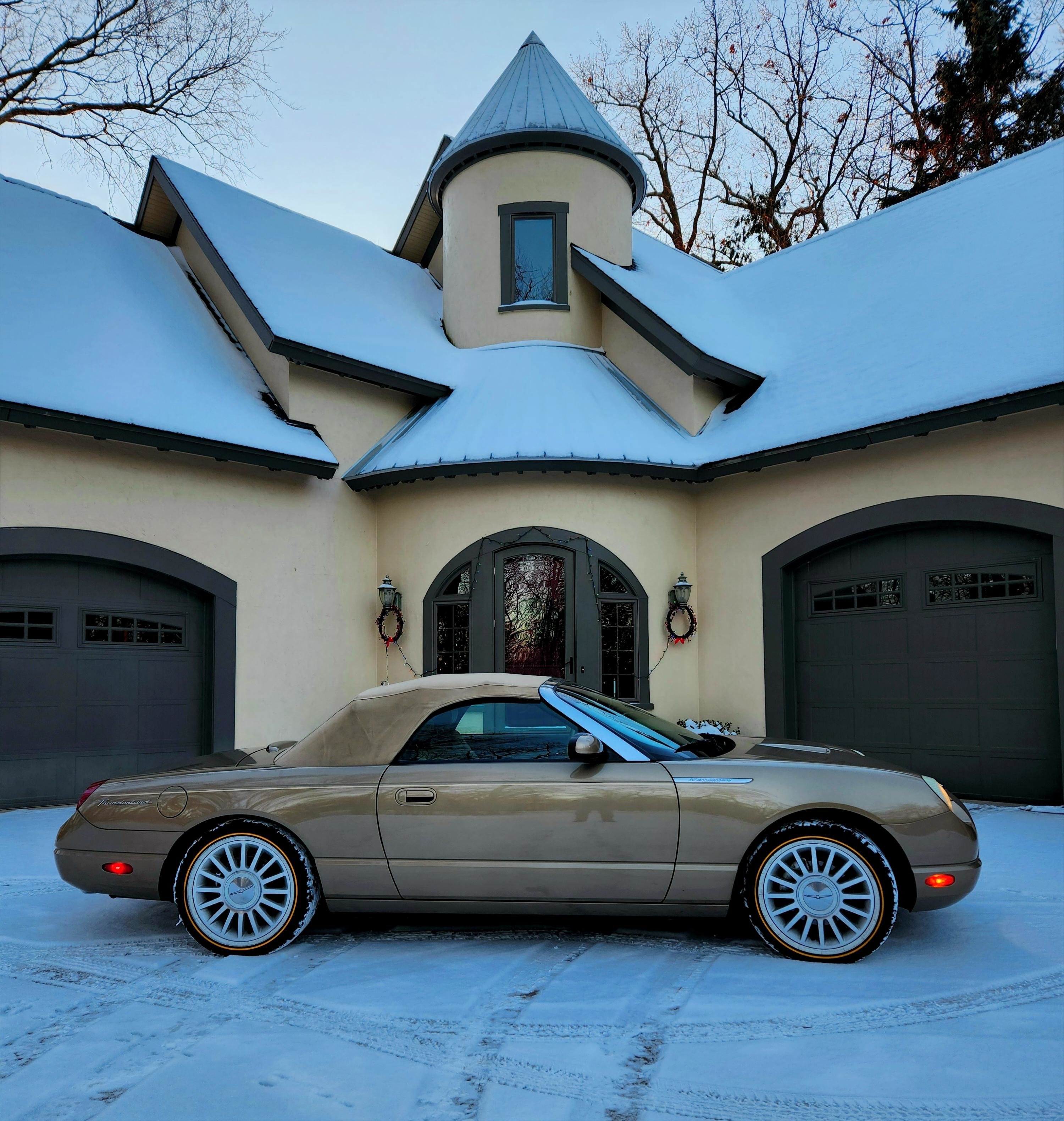 Snow_Bird_2025