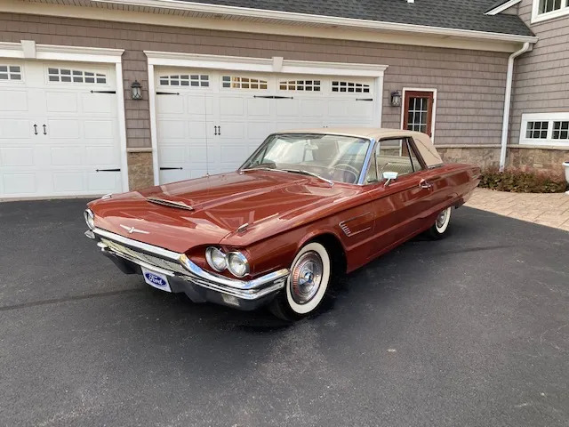 T-bird 1.jpg