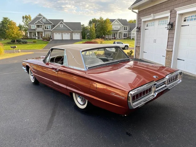 T-bird 4.jpg