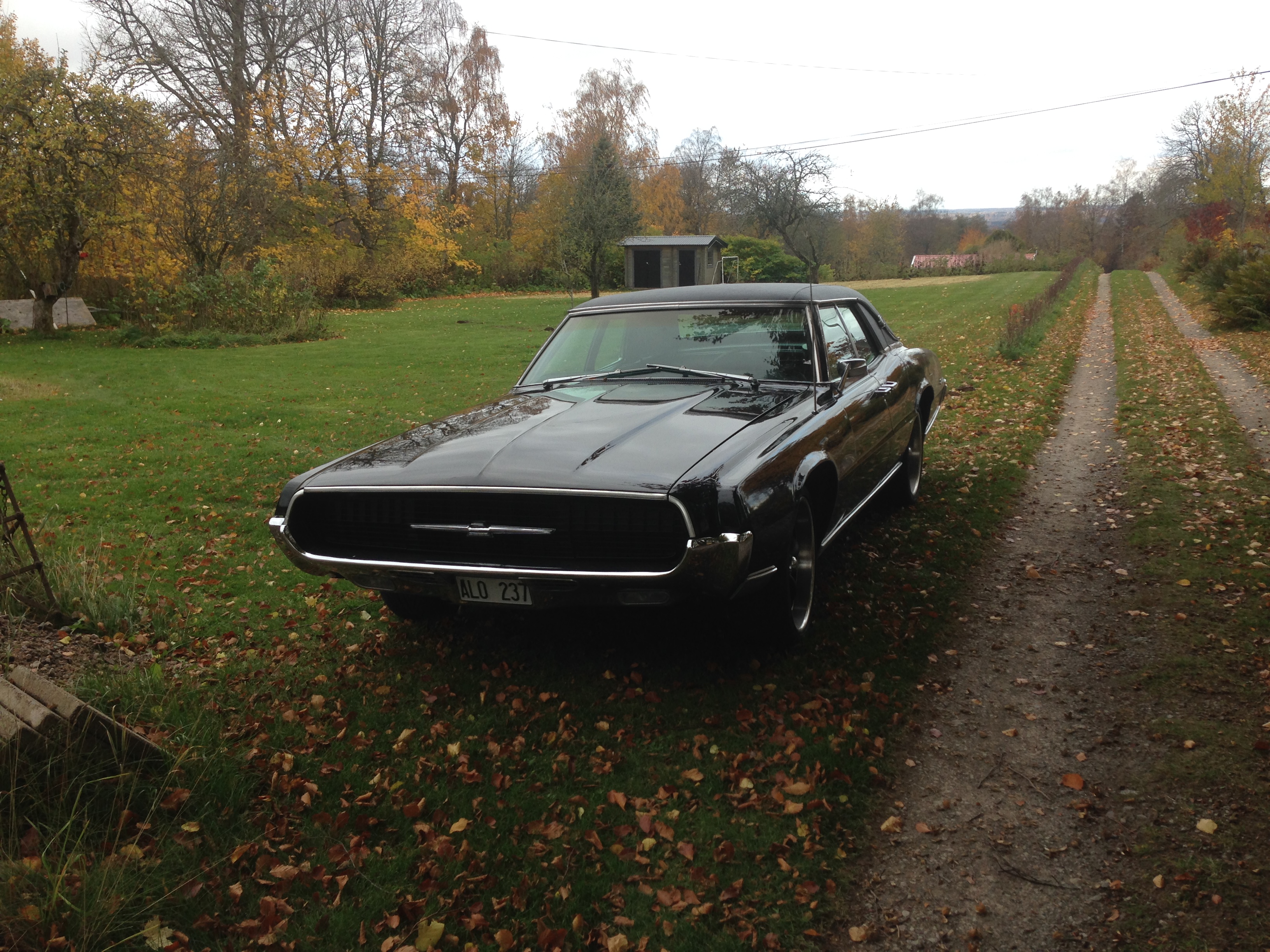 T-Bird -67