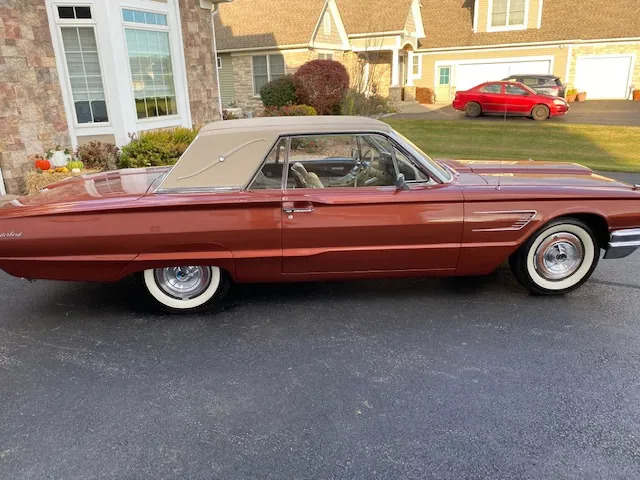 T-bird 7.jpg