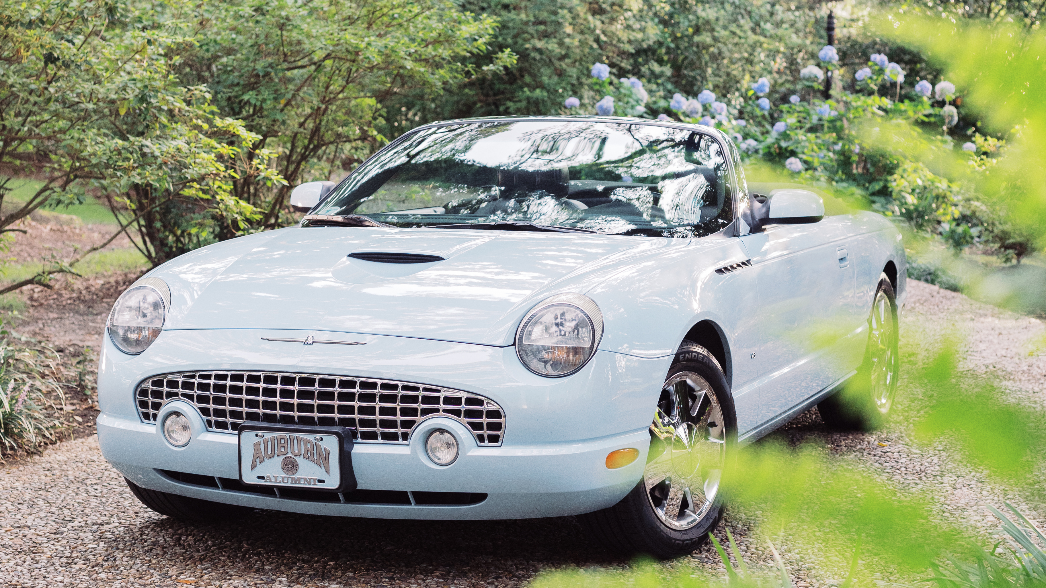 T-bird Wedding2-16-9.png