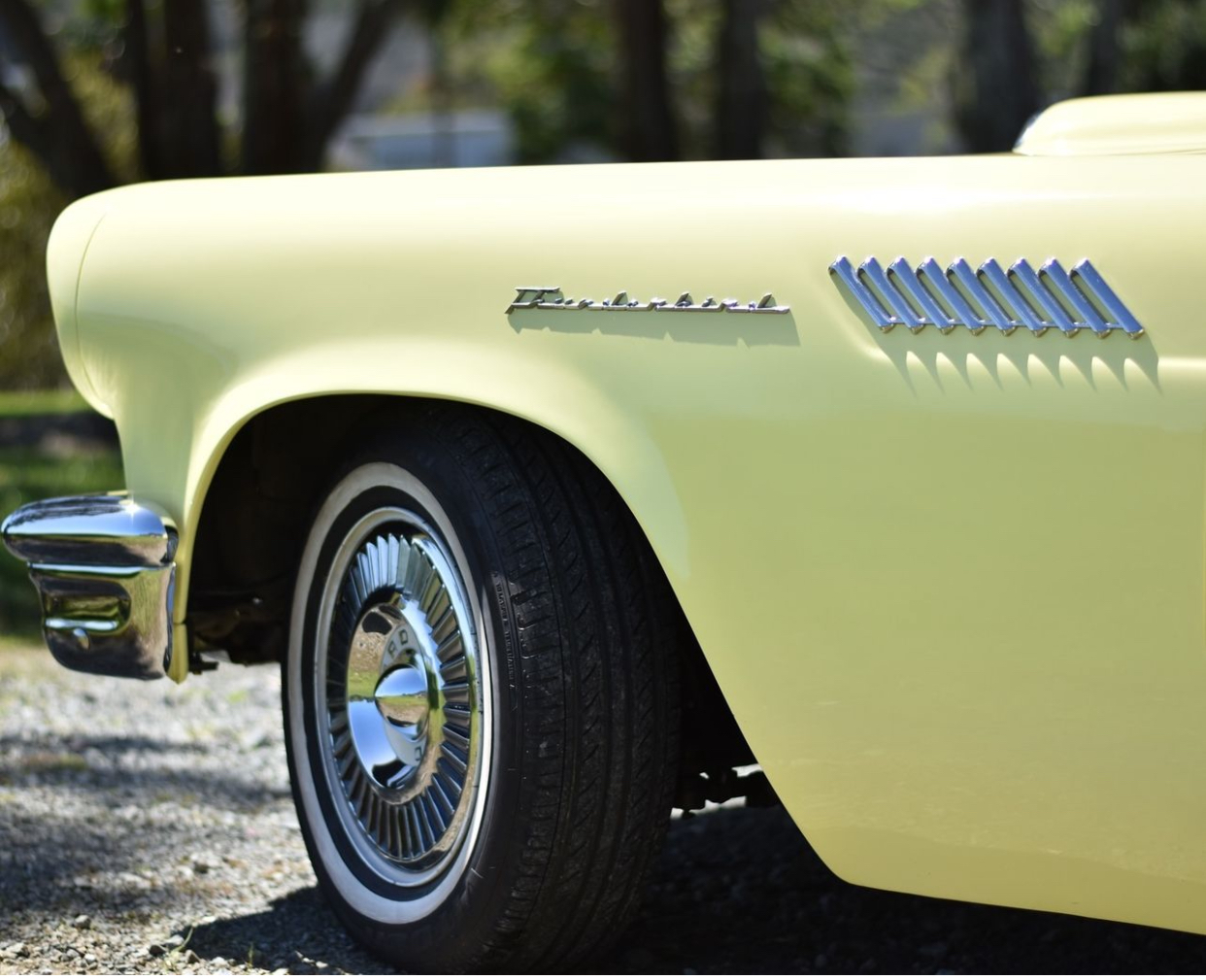 Thunderbird .jpeg
